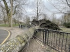 a large tree that has fallen over a fence