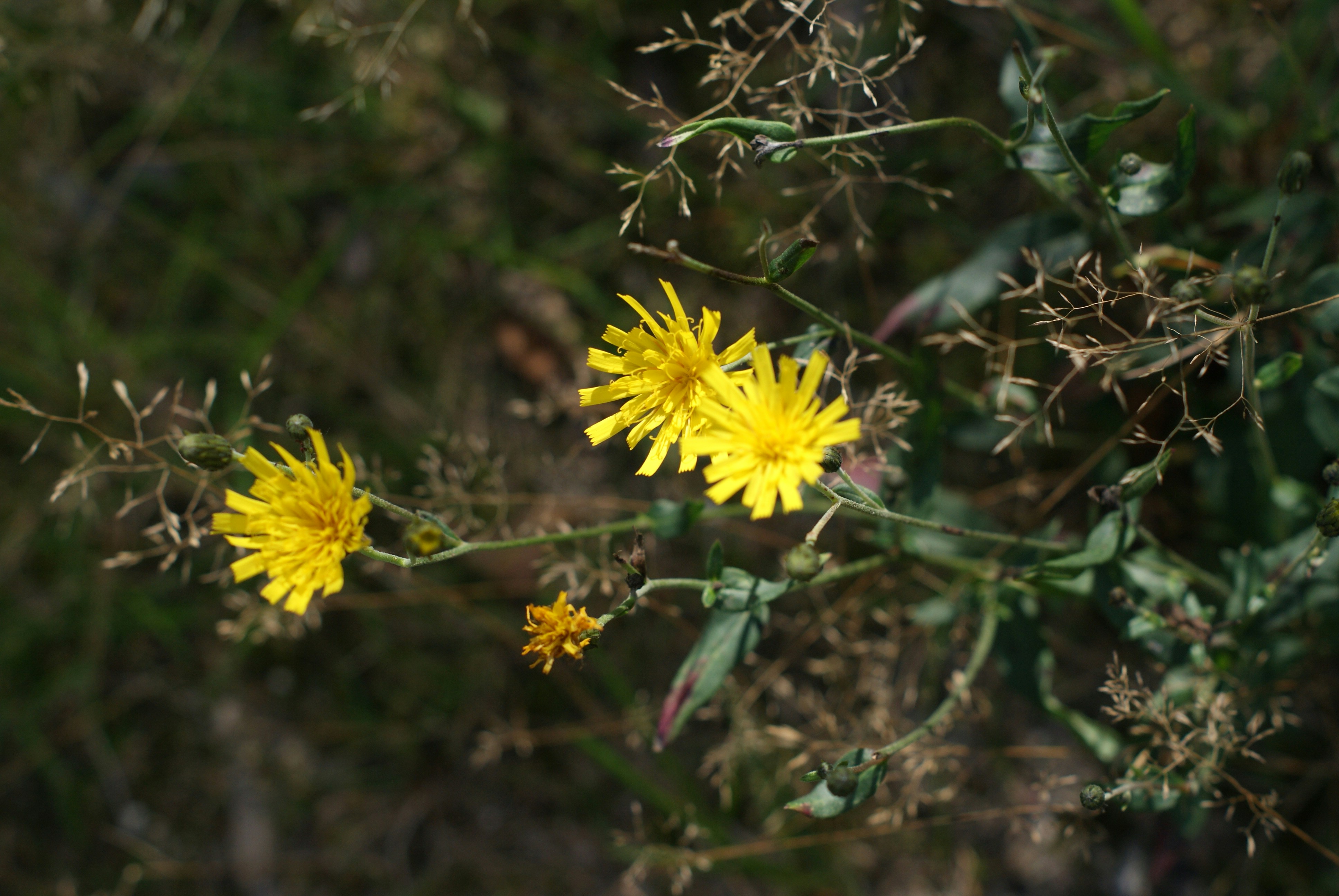 Photo by urszulakazmierczak