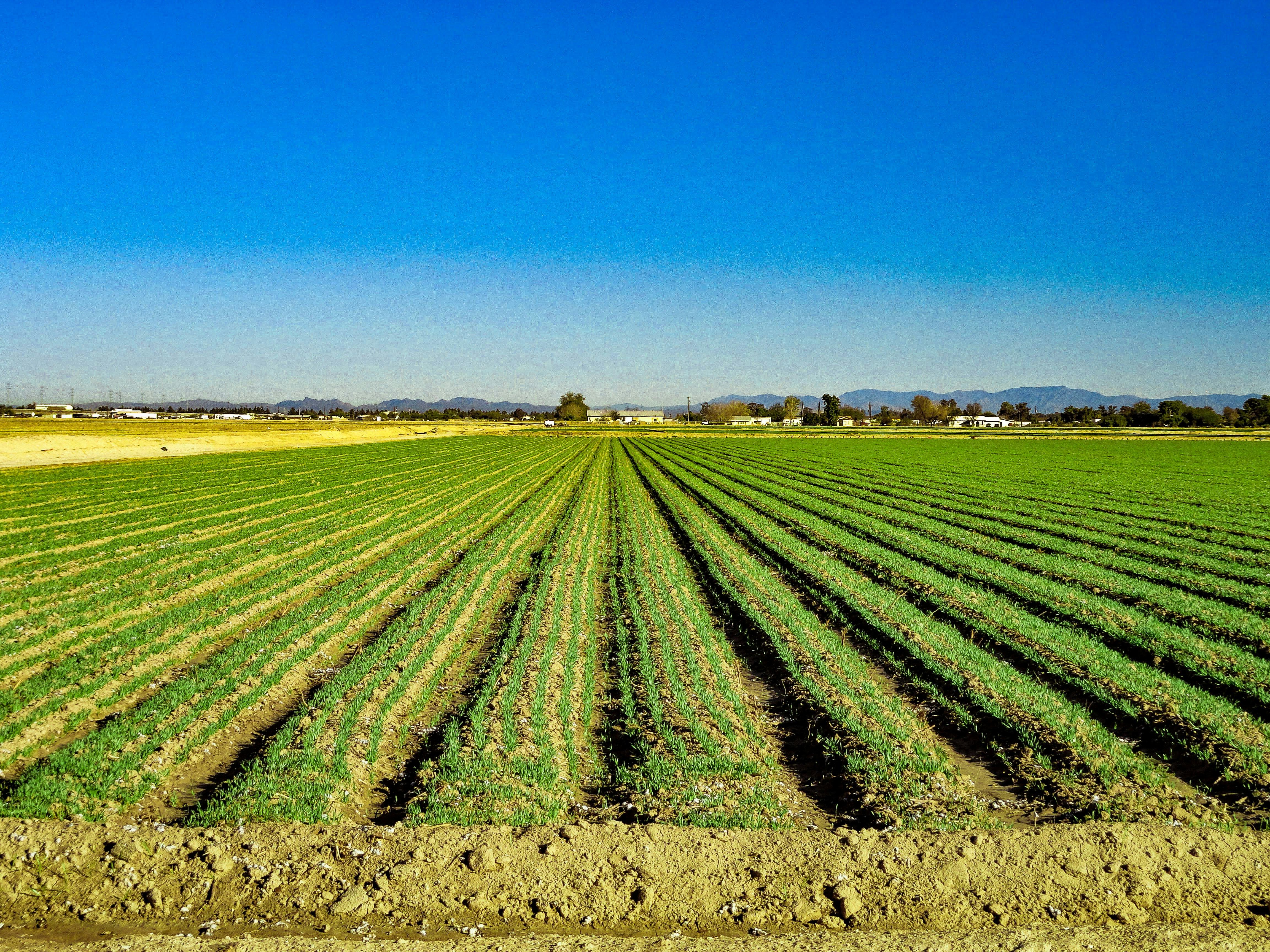 Farming