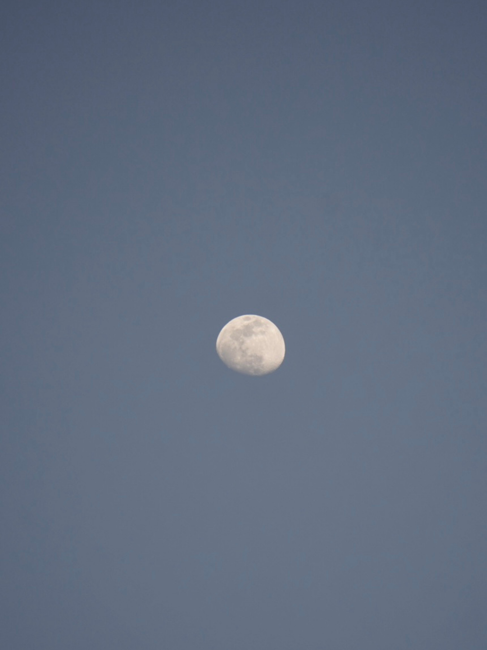 a full moon in a clear blue sky