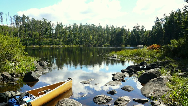 The North Woods: America's Northern Wilderness