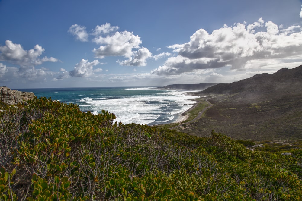 a scenic view of the ocean from a hill