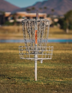 A disc golf basket is set in a grassy field with a blurred background of trees and distant mountains. The basket is metallic with chains and a single orange marking.
