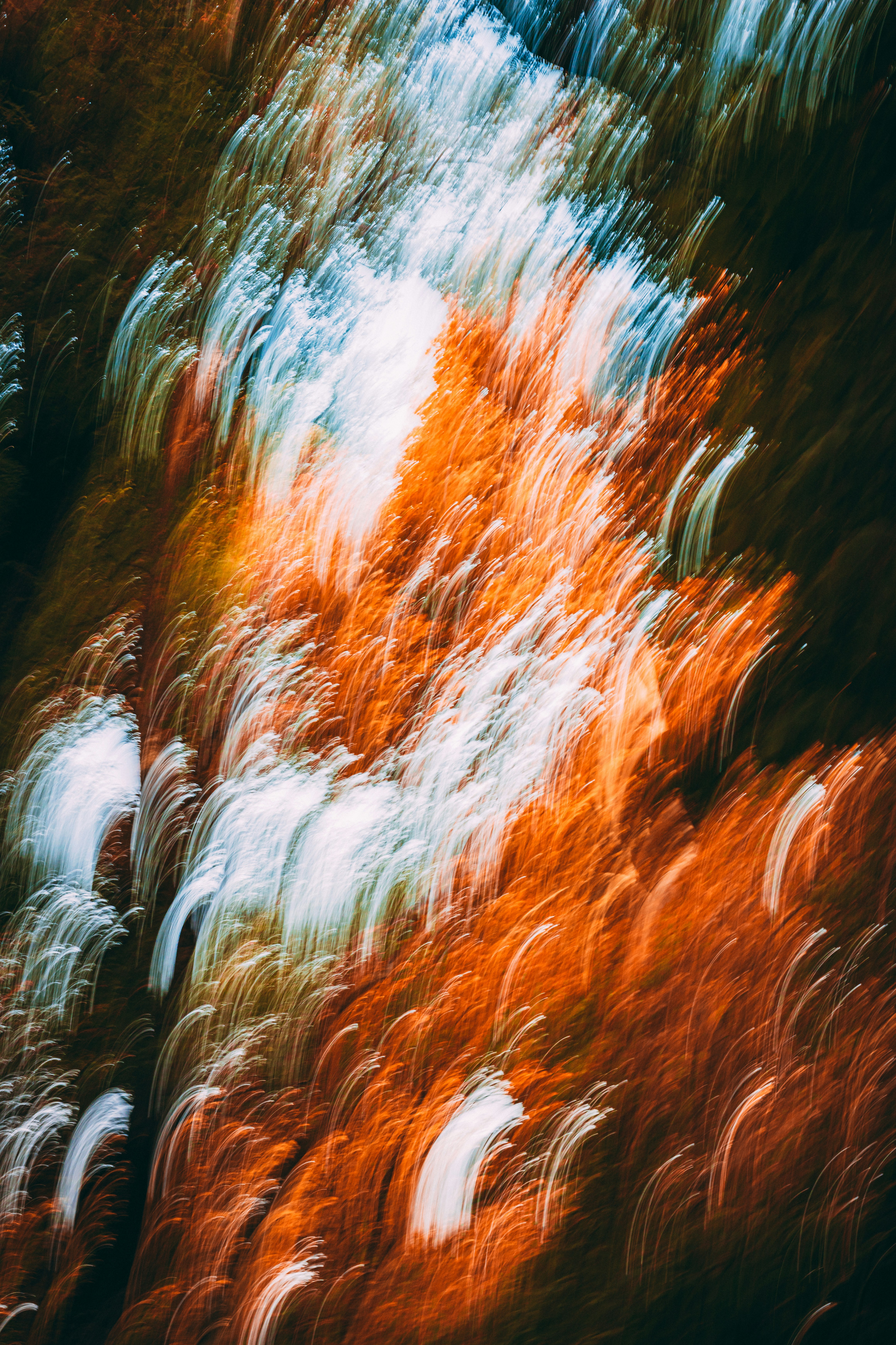 Photo by ggiqueaux