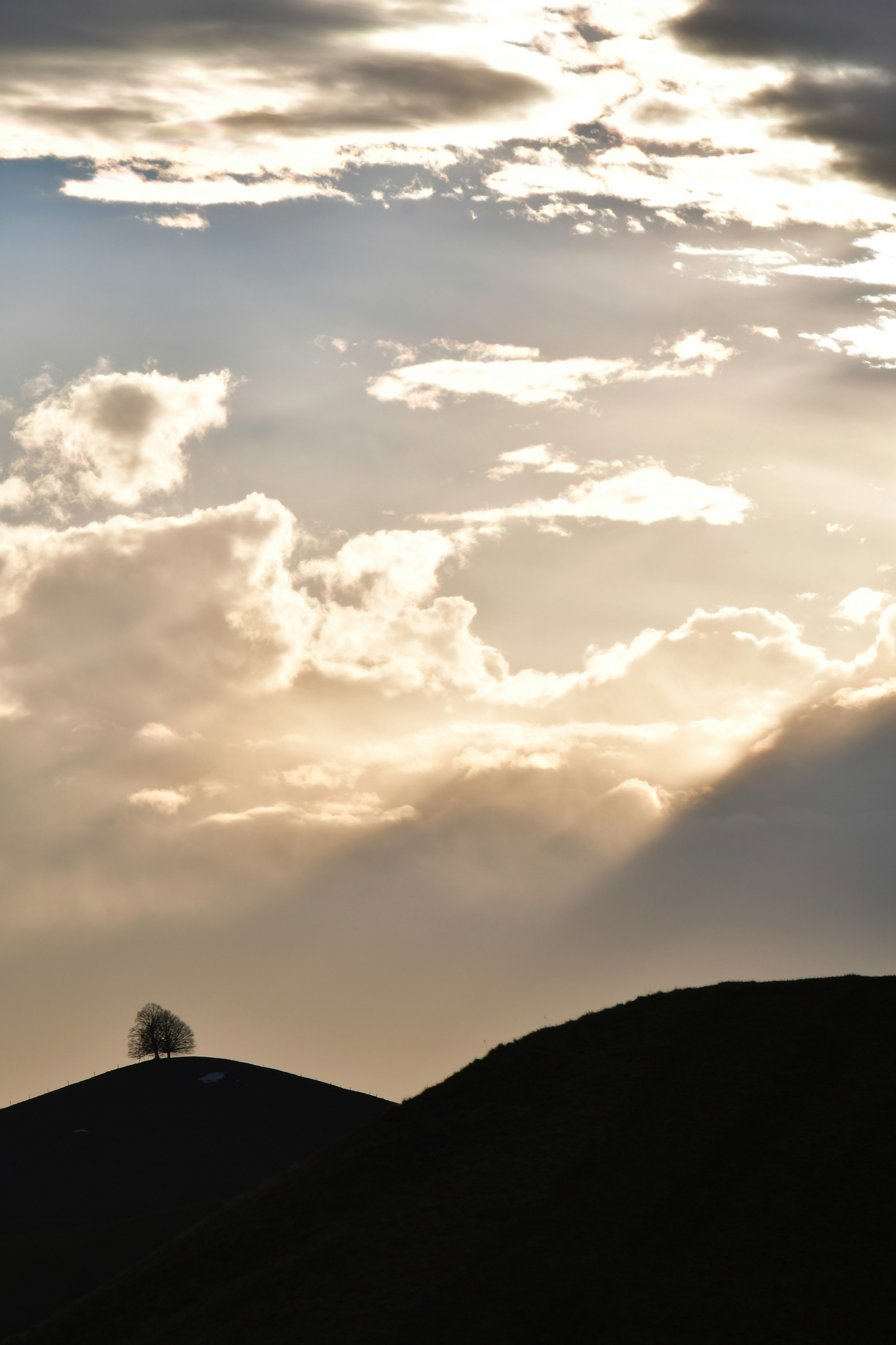 Photo by pedrino5_official