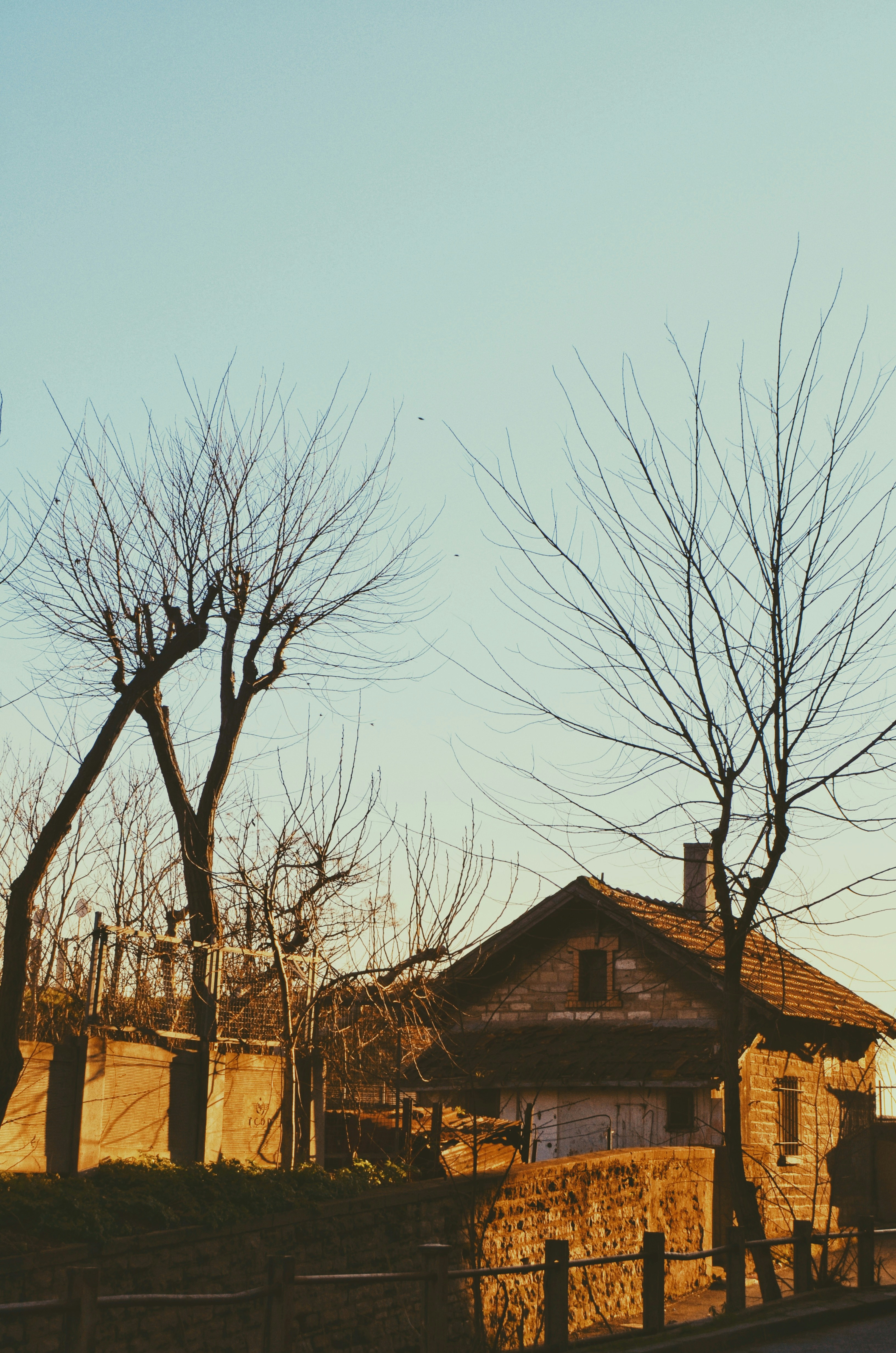 Photo by nileee