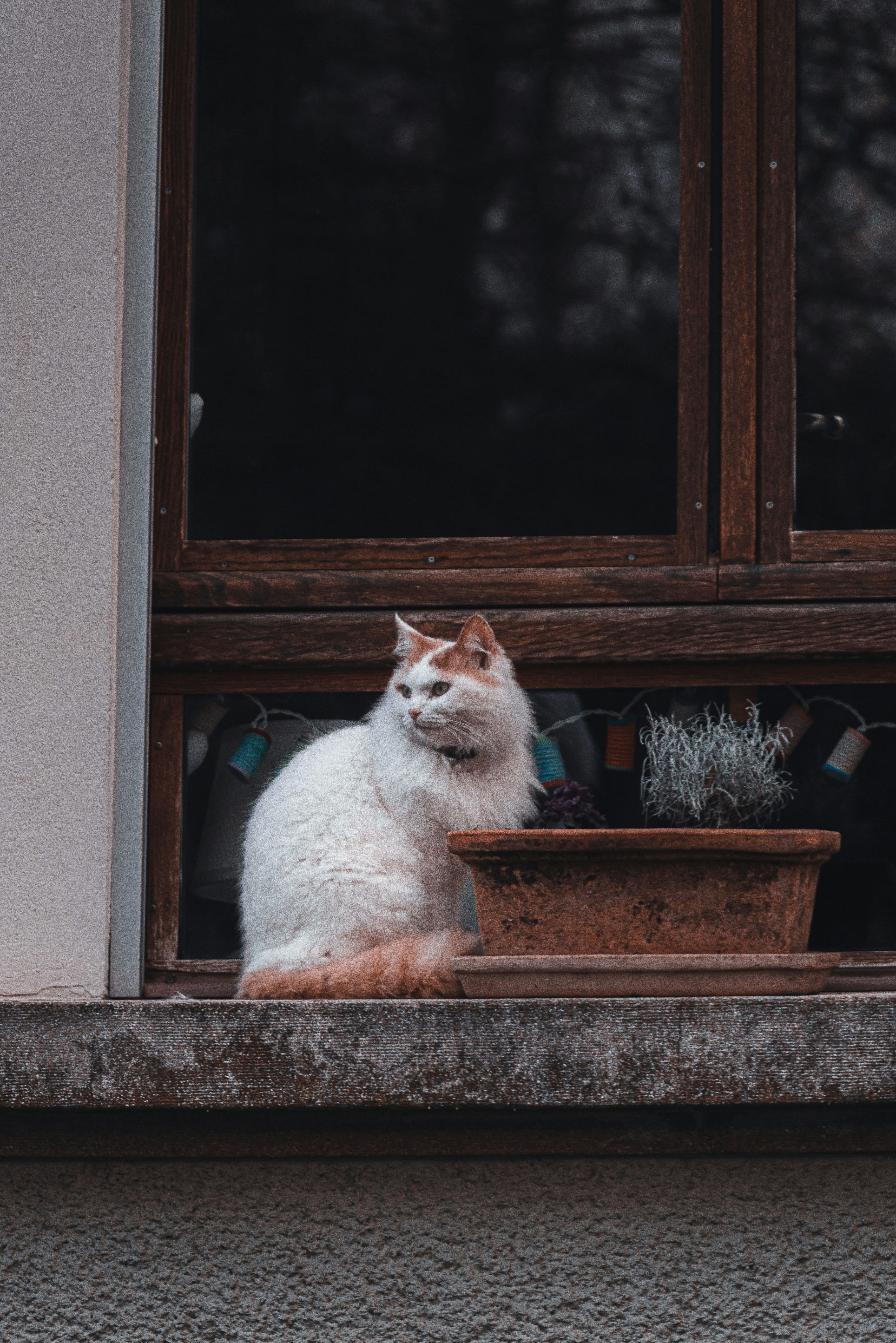 Photo by yigitarisoy