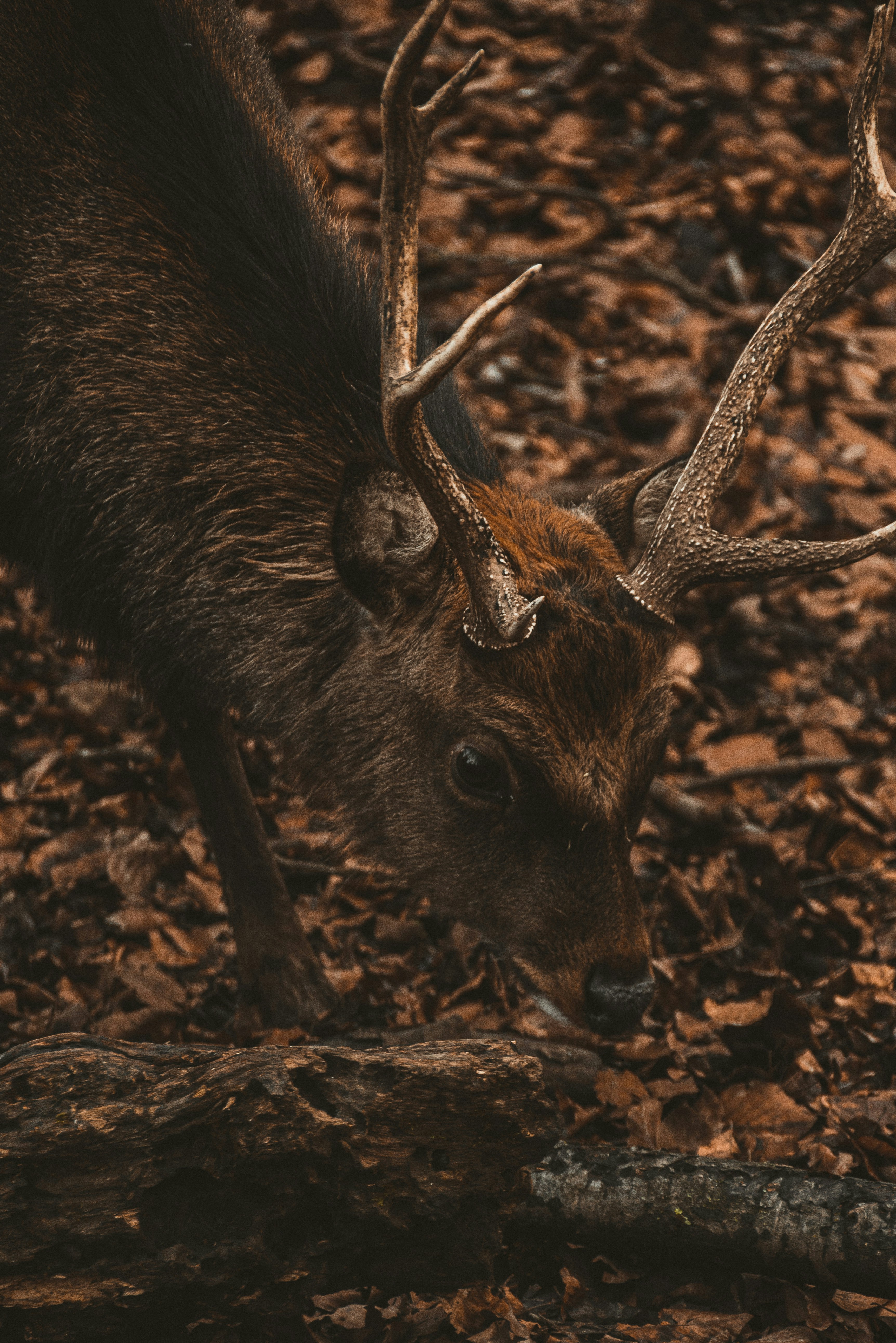 Photo by yigitarisoy