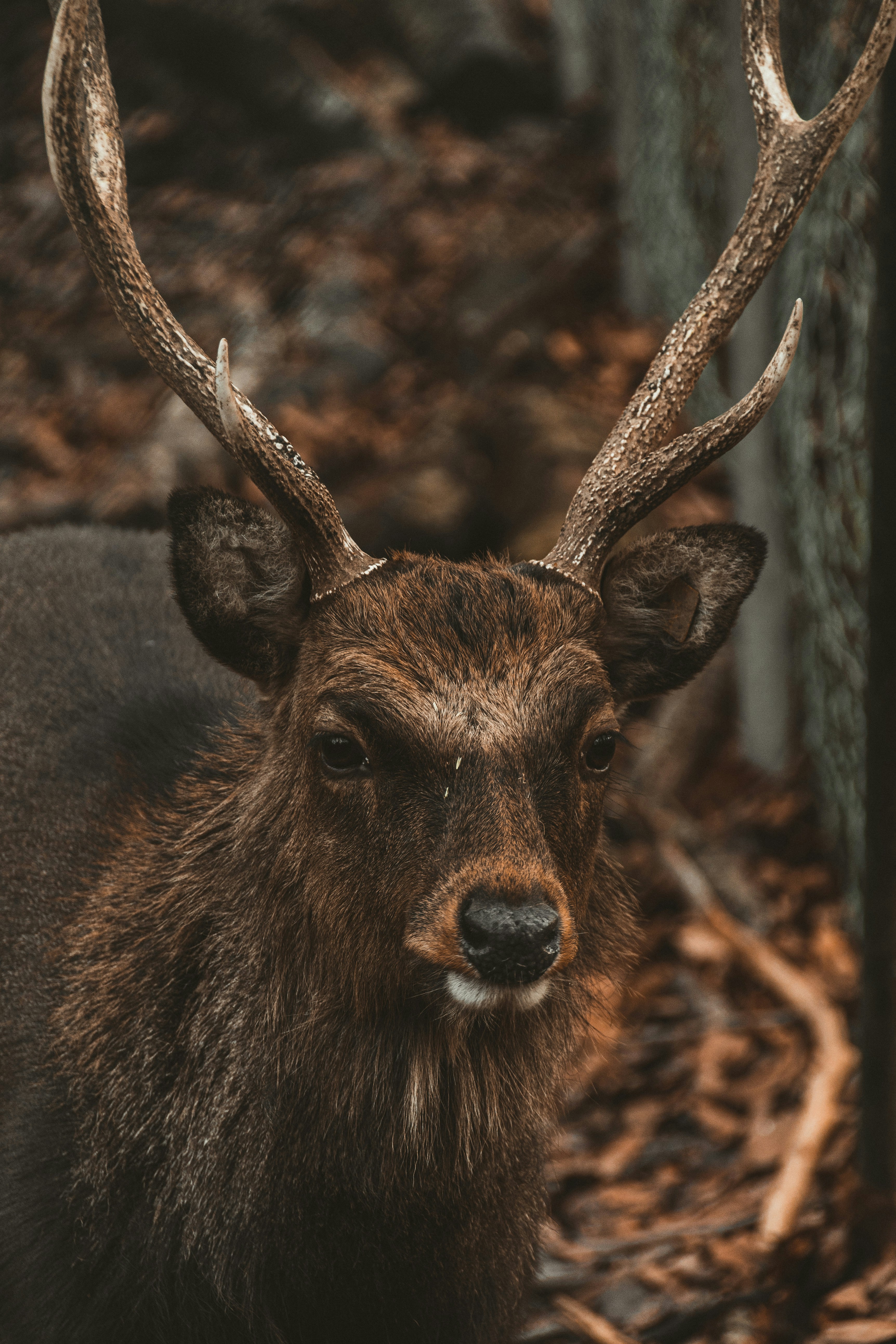 Photo by yigitarisoy