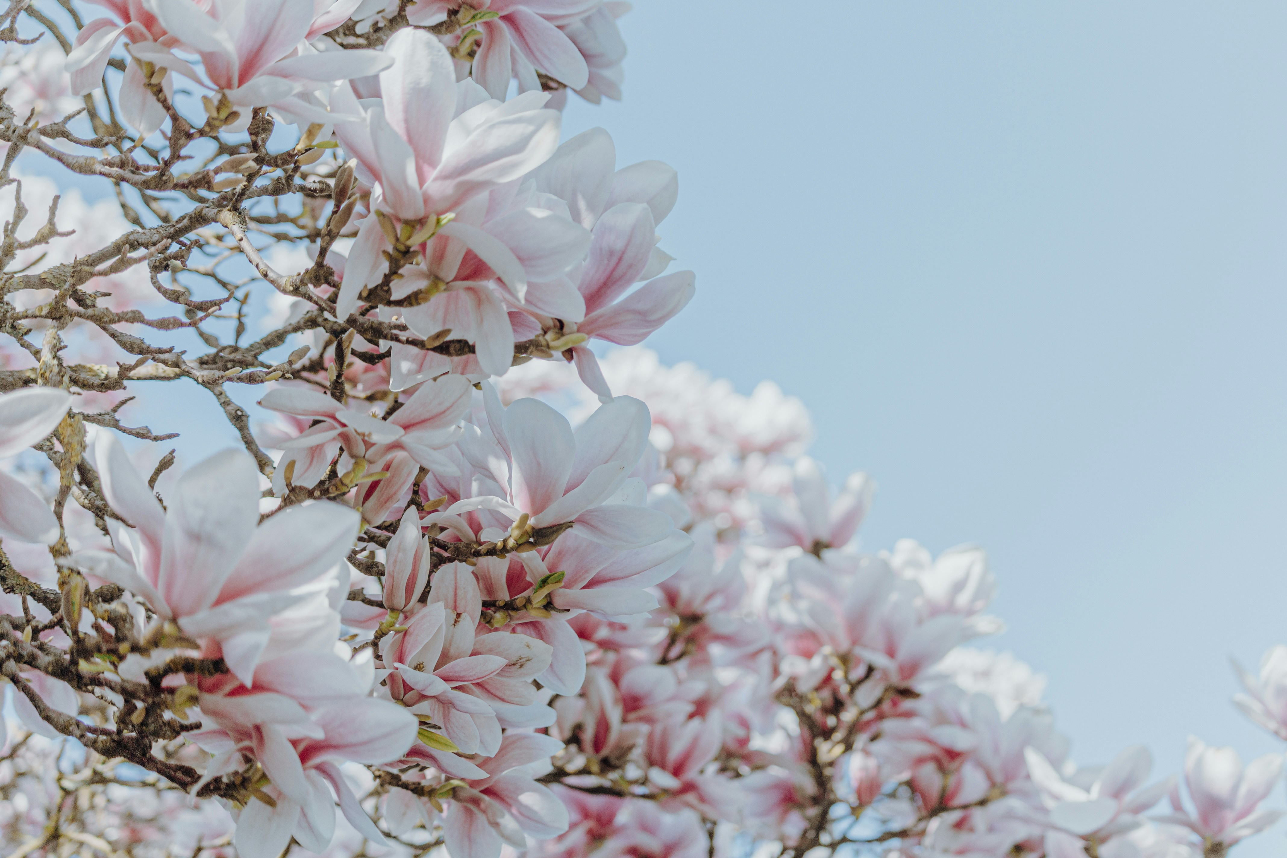 Photo by katharina_bill