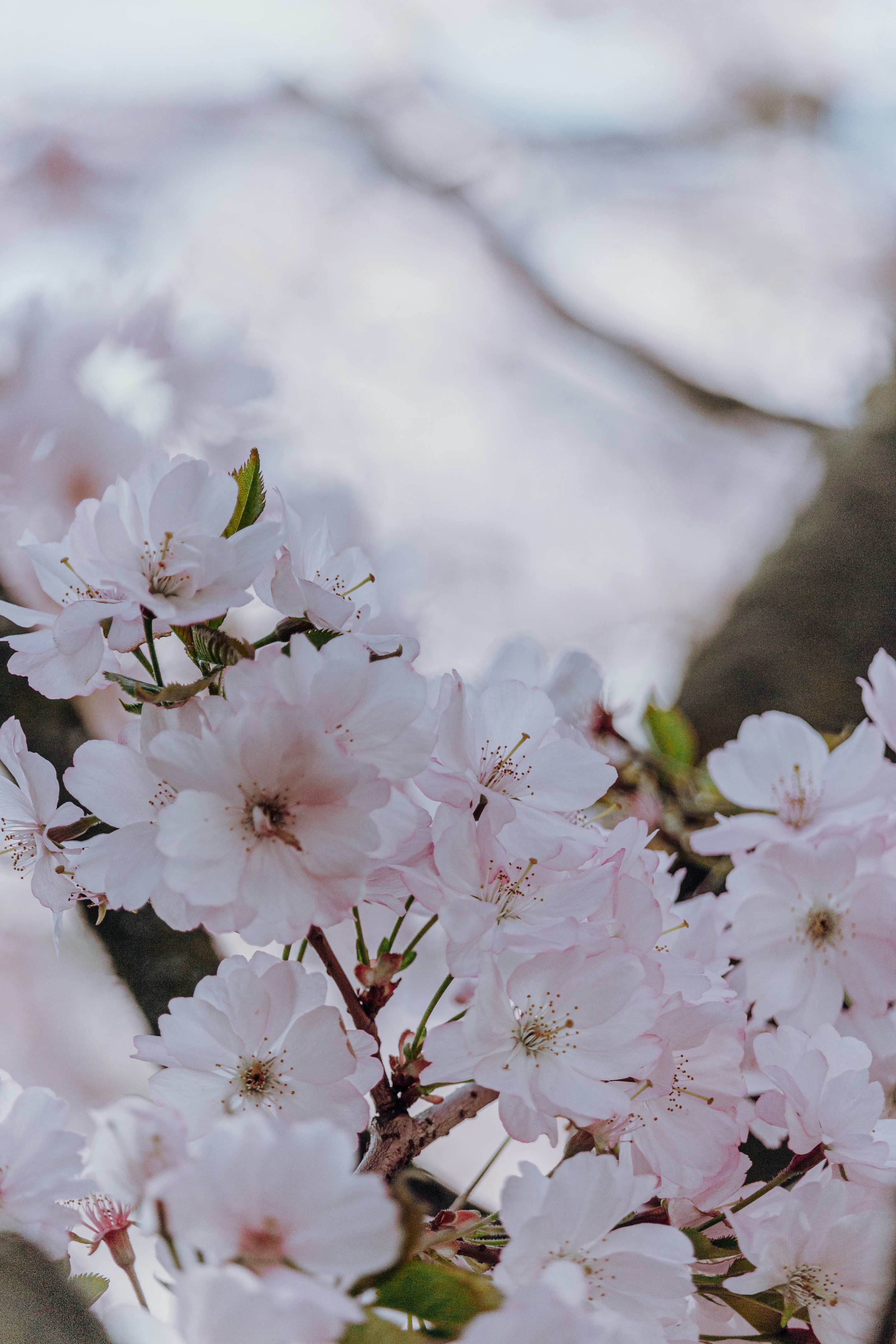 Photo by katharina_bill