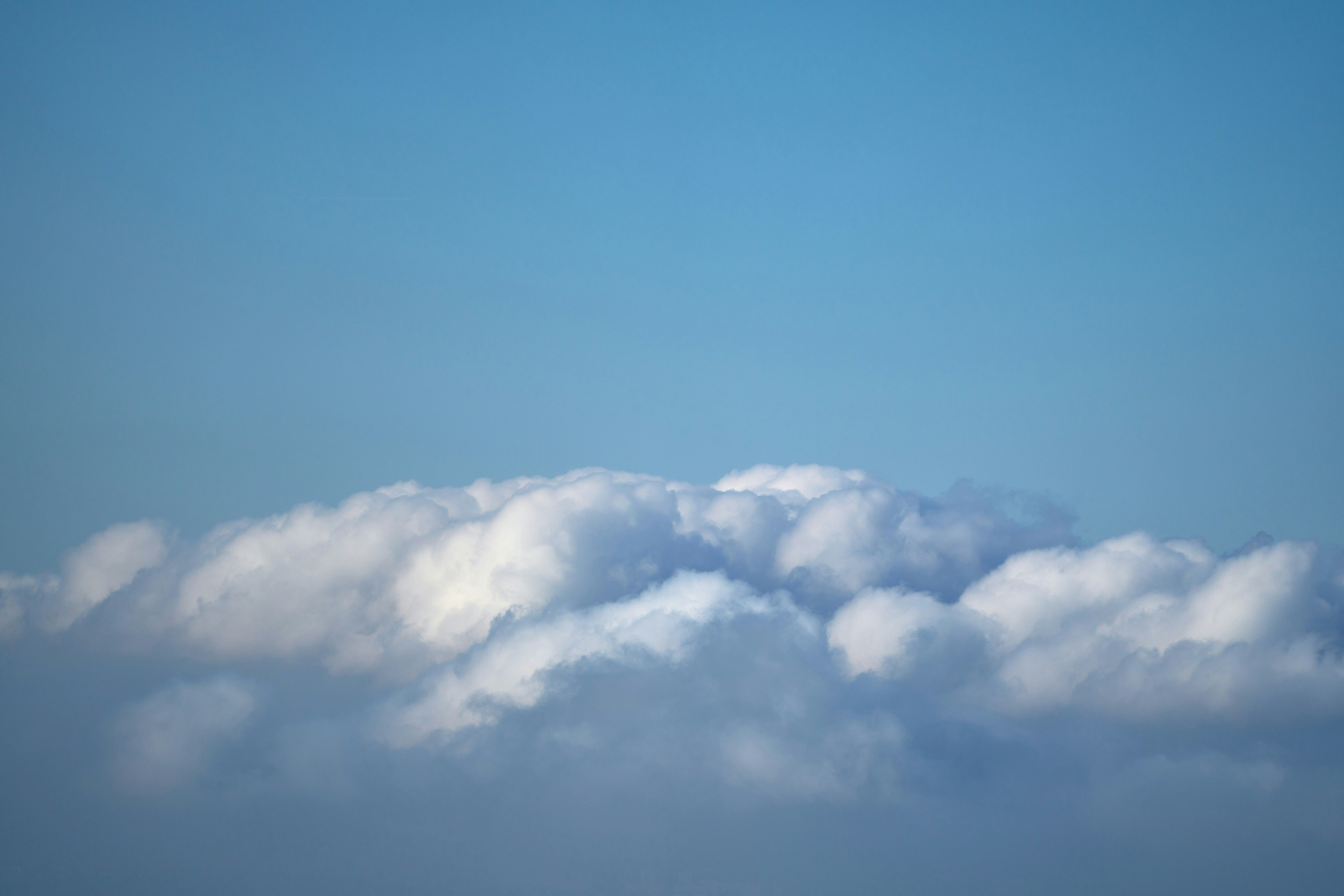 Photo by wolfgang_hasselmann