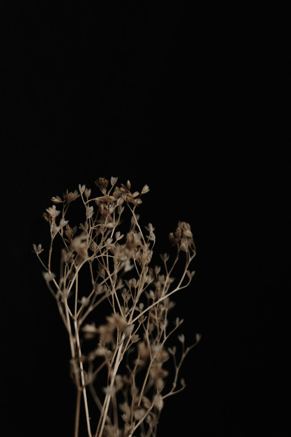 a vase filled with flowers on top of a table