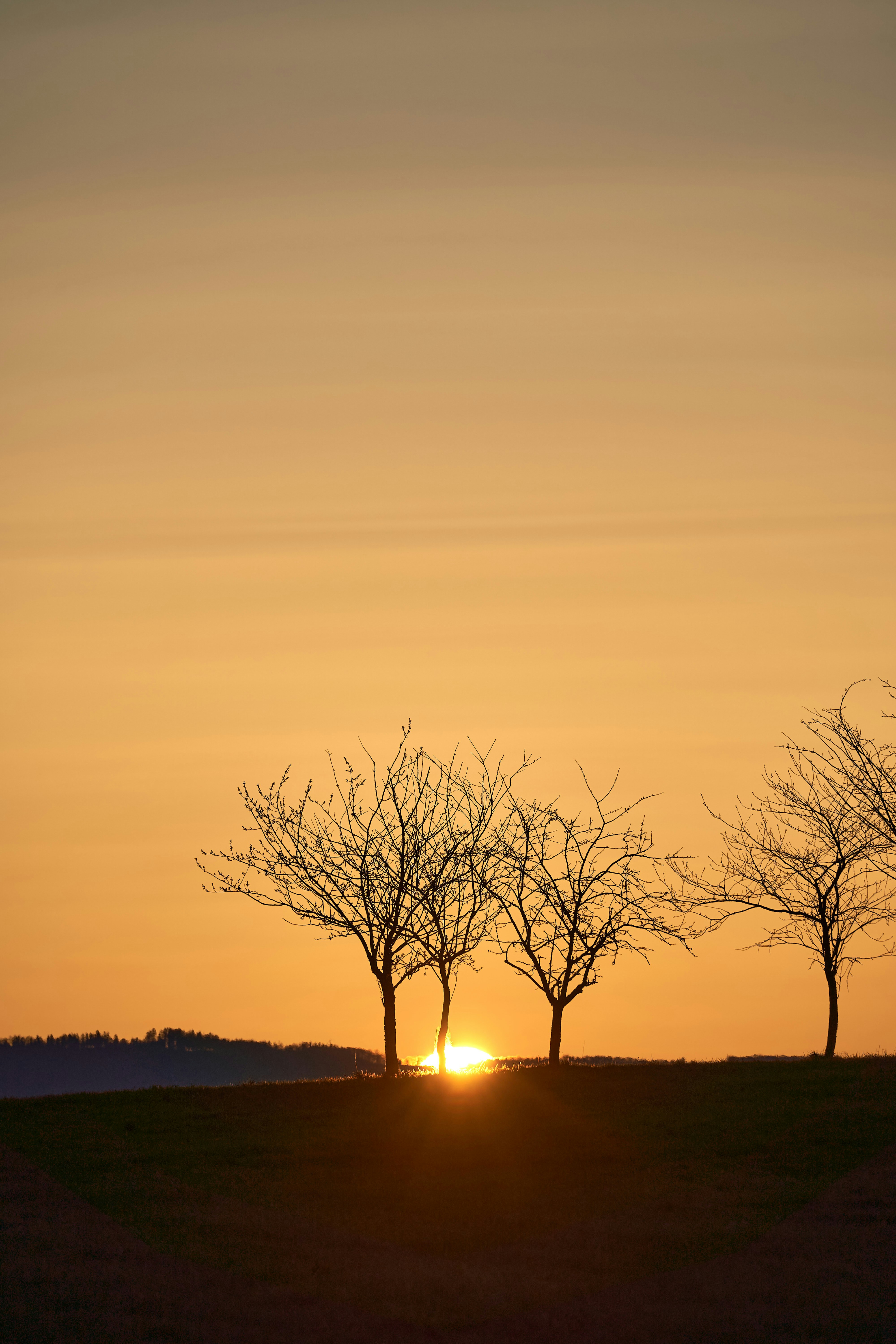 Photo by wolfgang_hasselmann