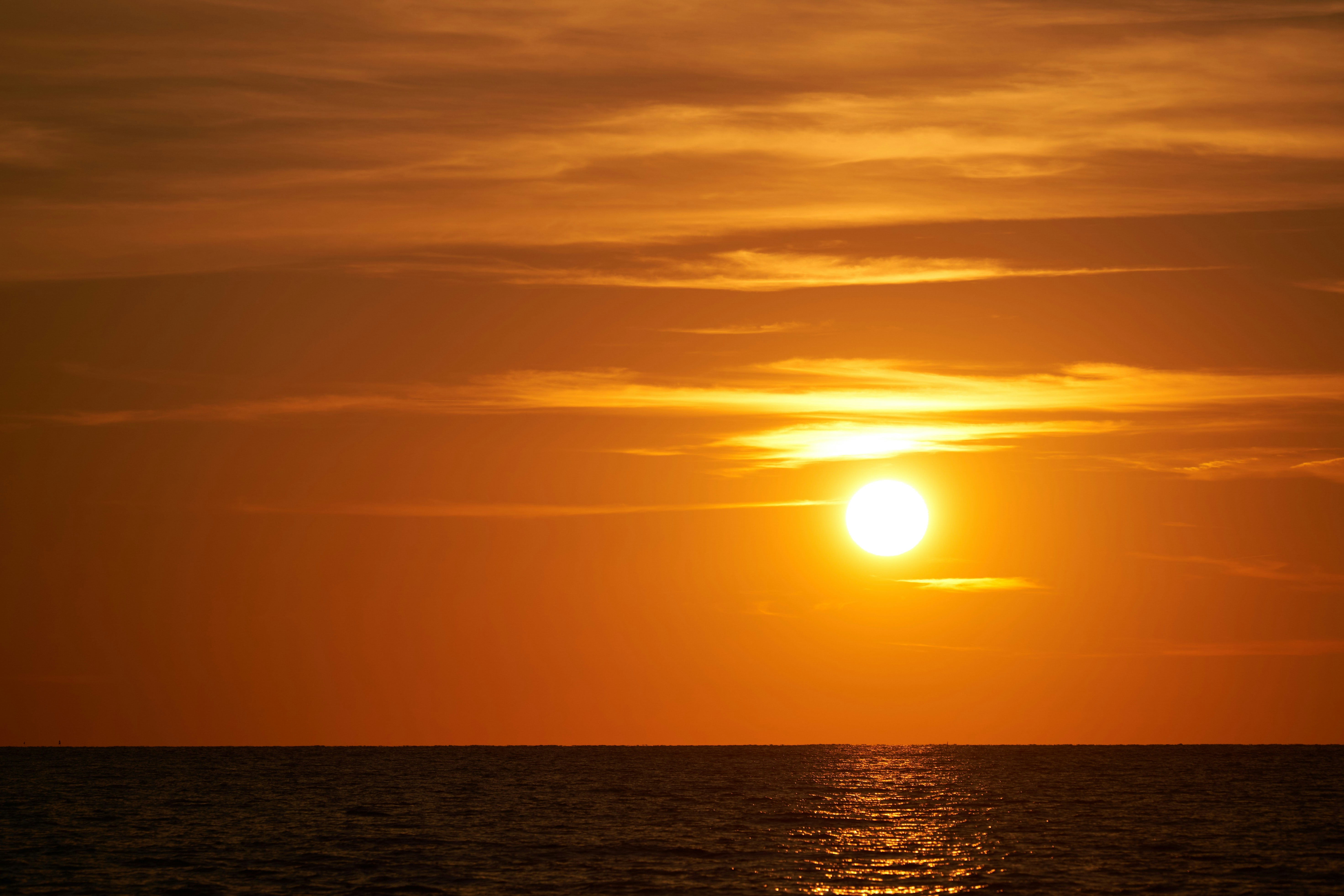 Photo by wolfgang_hasselmann