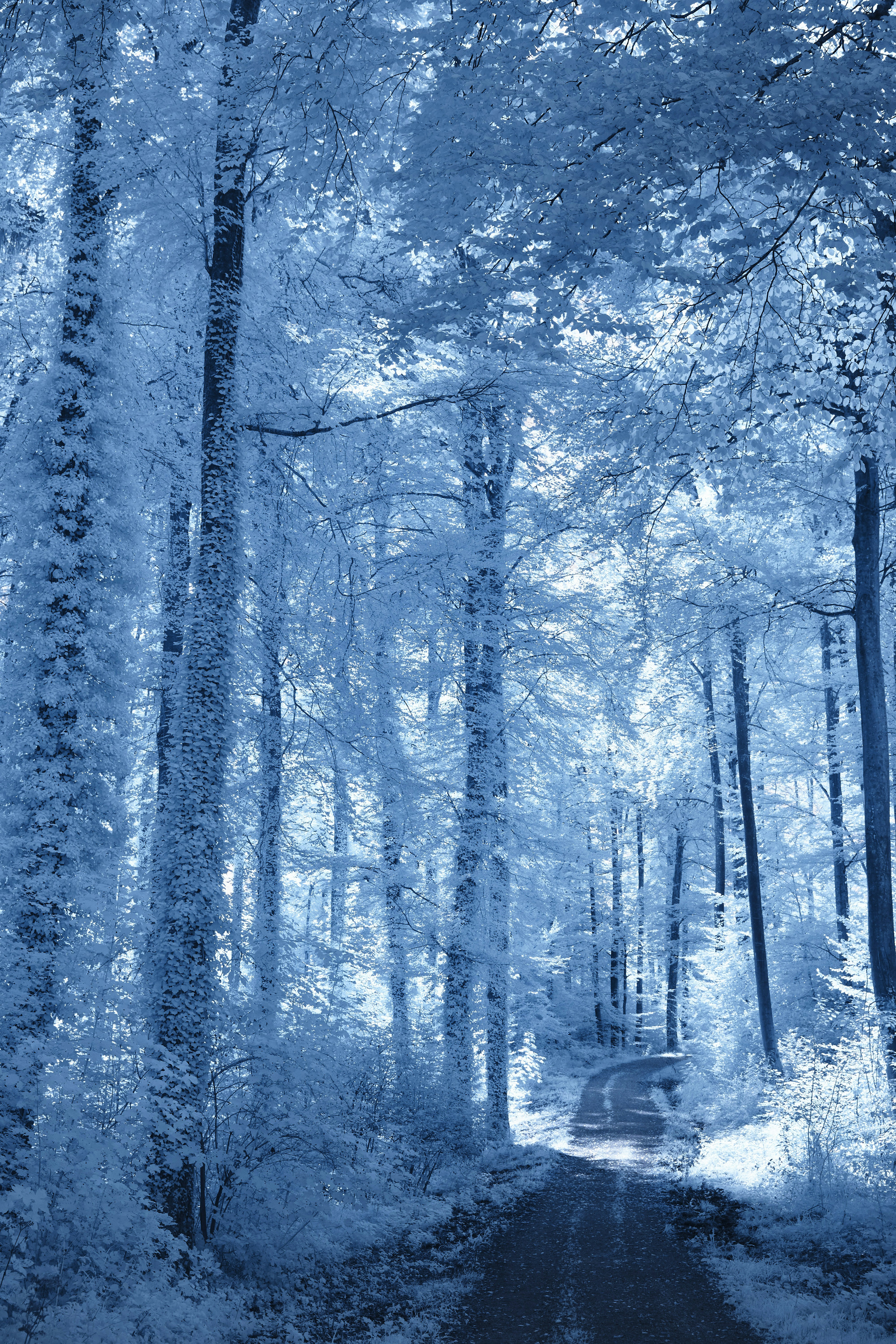 Photo by wolfgang_hasselmann