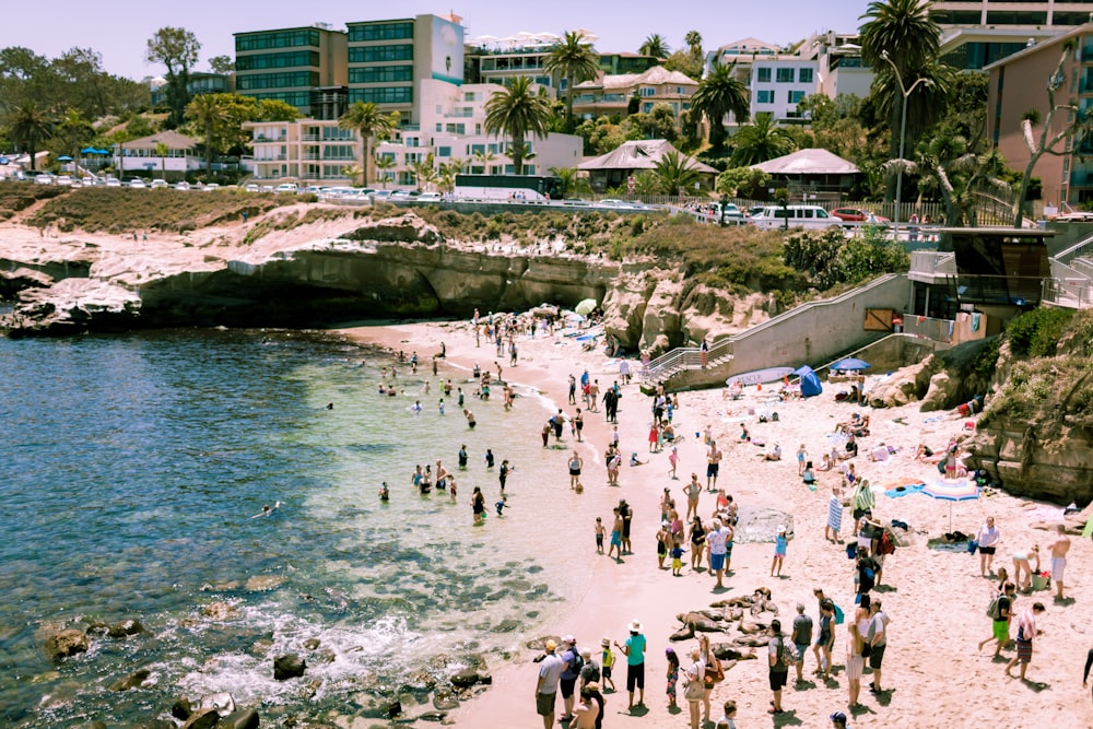 a group of people standing on top of a sandy beach