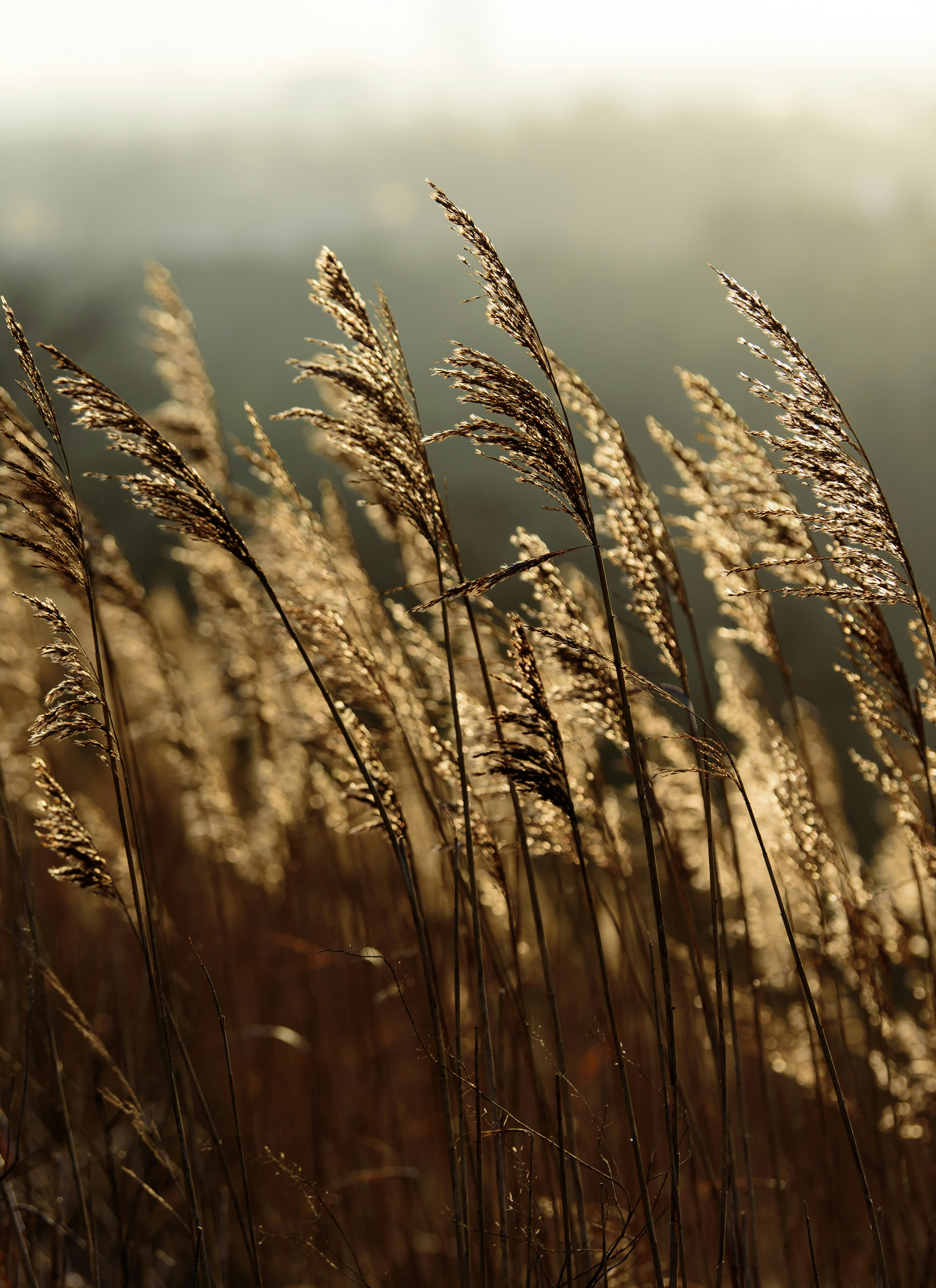 Photo by ovidiudumitra