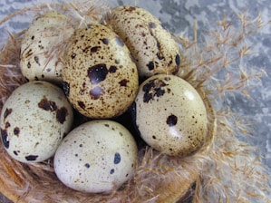 a bunch of quails sitting in a basket on a table