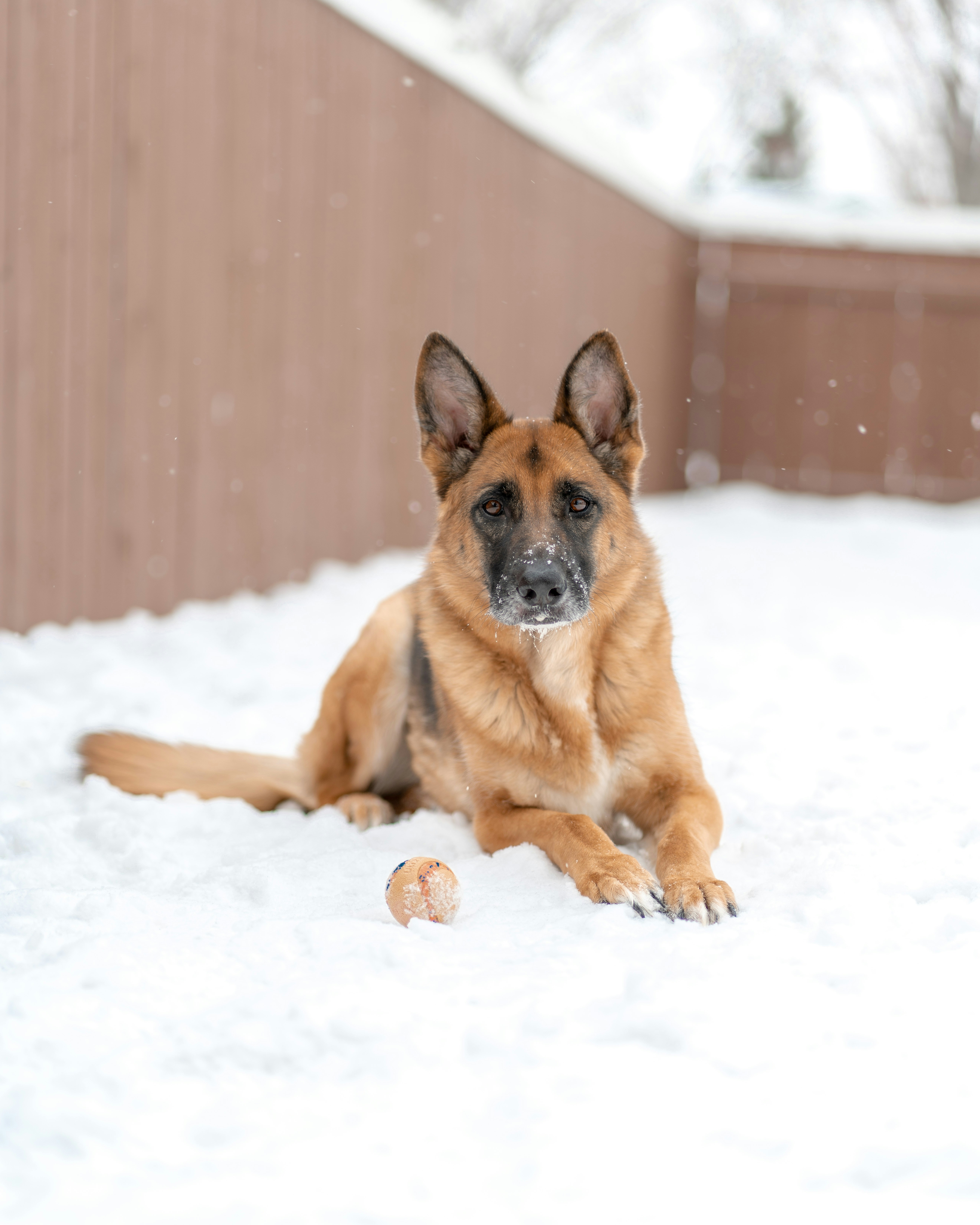 Photo by dustinbowdige