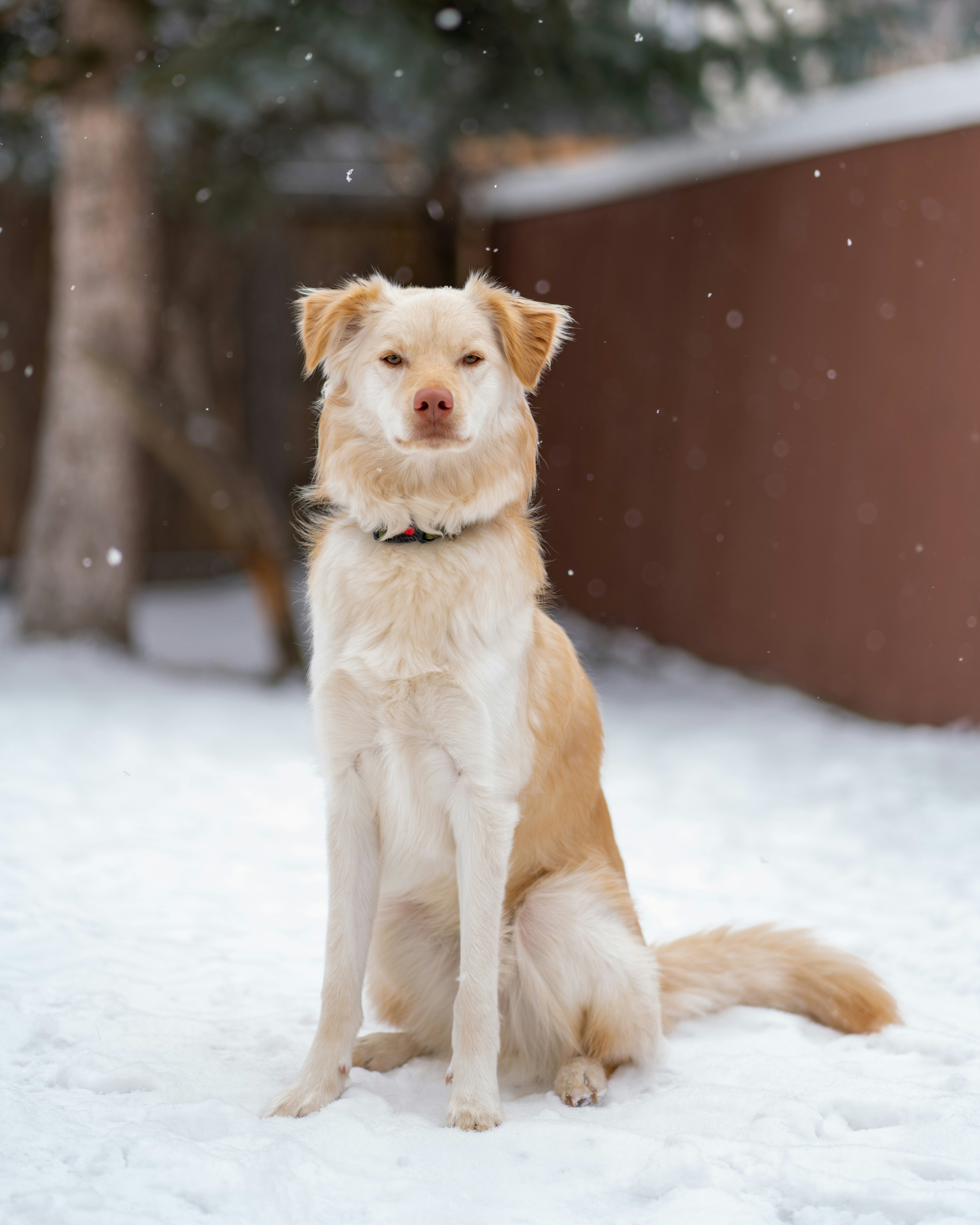 Photo by dustinbowdige