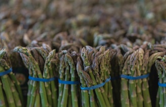 a bunch of asparagus wrapped in blue ribbon