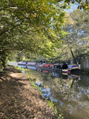 A serene canal scene with colorful narrowboats and weeping willows under soft morning light.