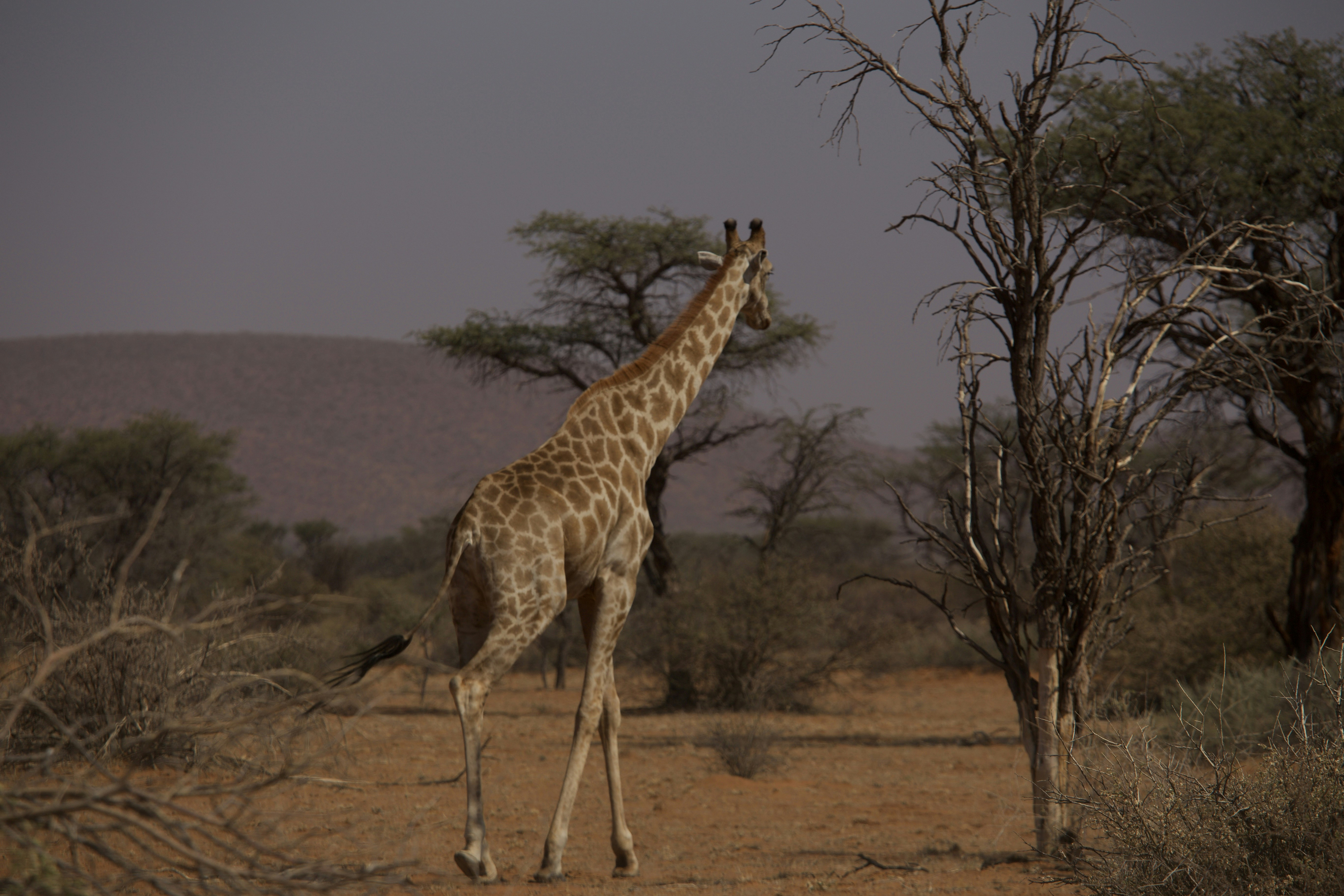 The Silent Crisis Nobody Saw Coming (image credits: unsplash)