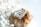 A necklace with several clear, faceted crystal pendants is placed on top of a cluster of amber-hued crystals. In the foreground, delicate white baby's breath flowers are visible, adding a soft, natural touch to the composition.