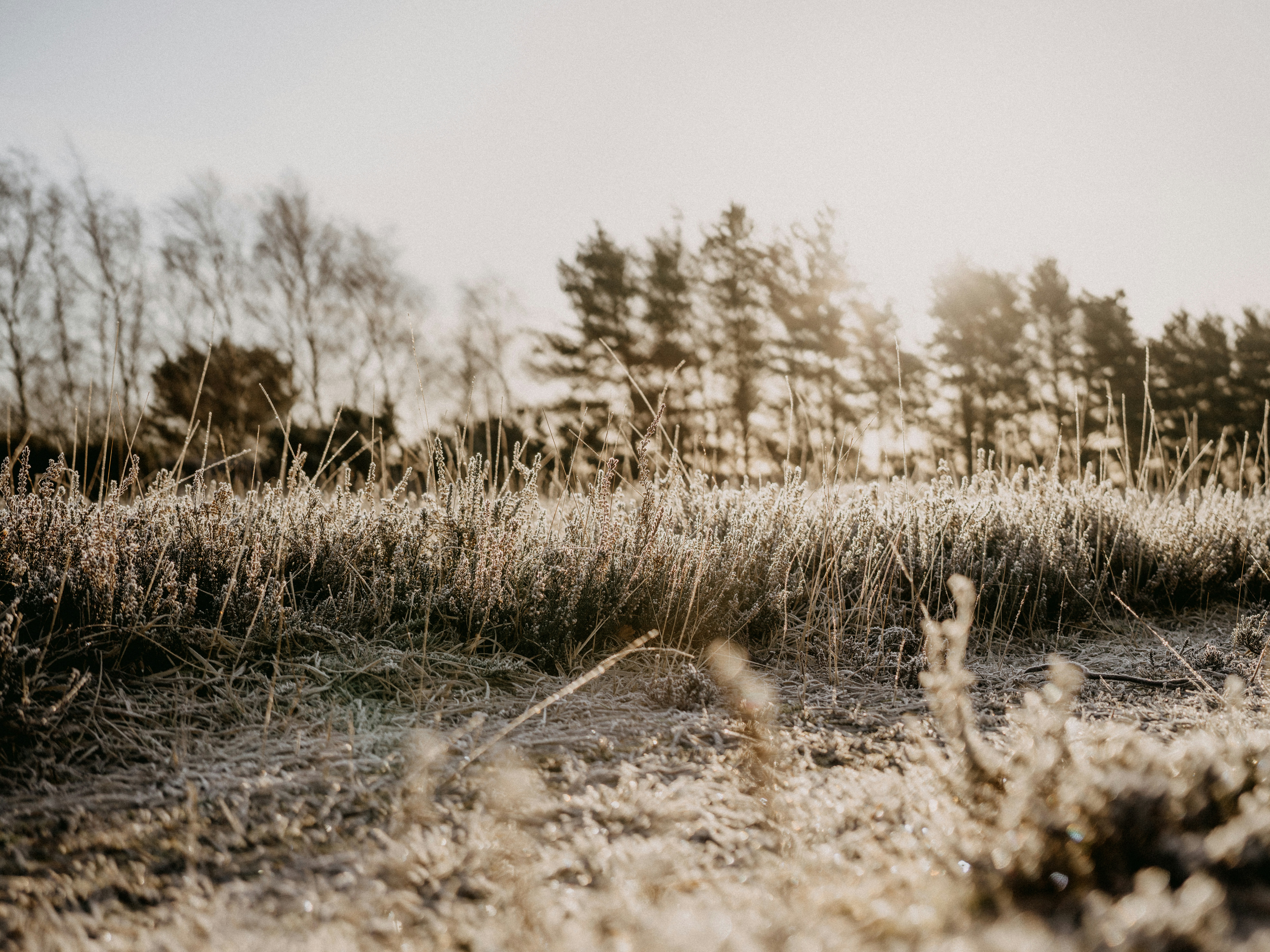 Photo by anniespratt