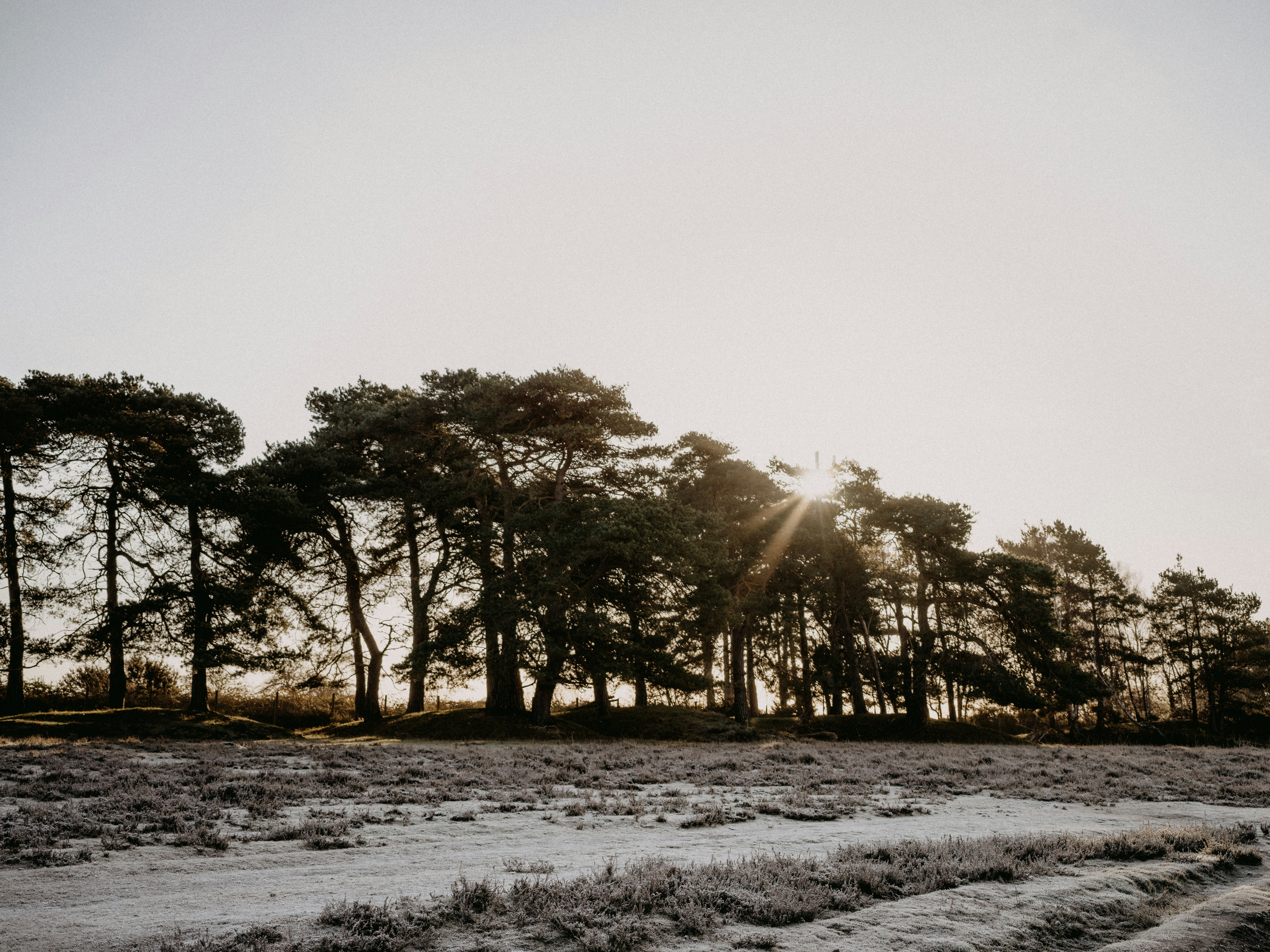 Photo by anniespratt