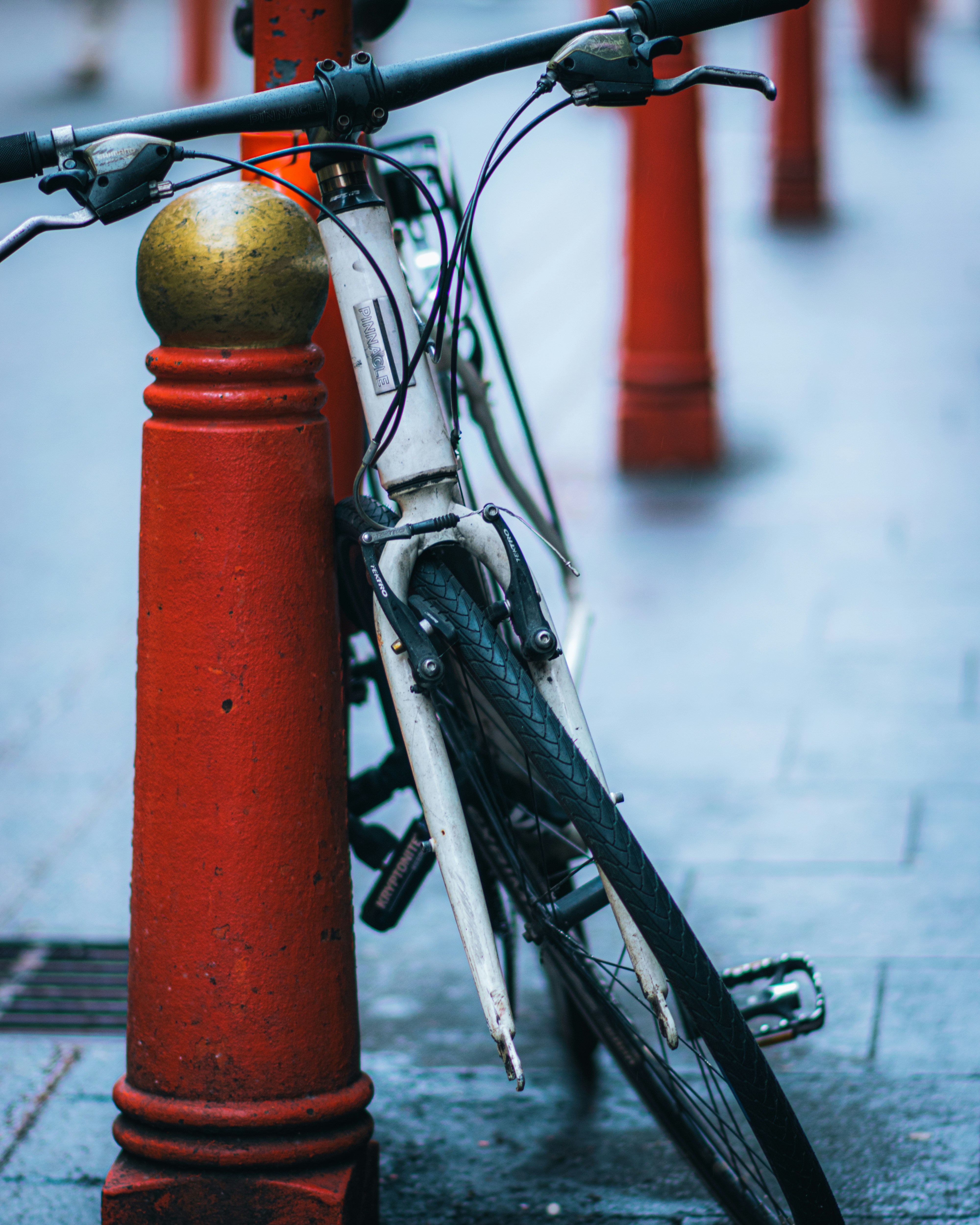 Photo by elliottmason