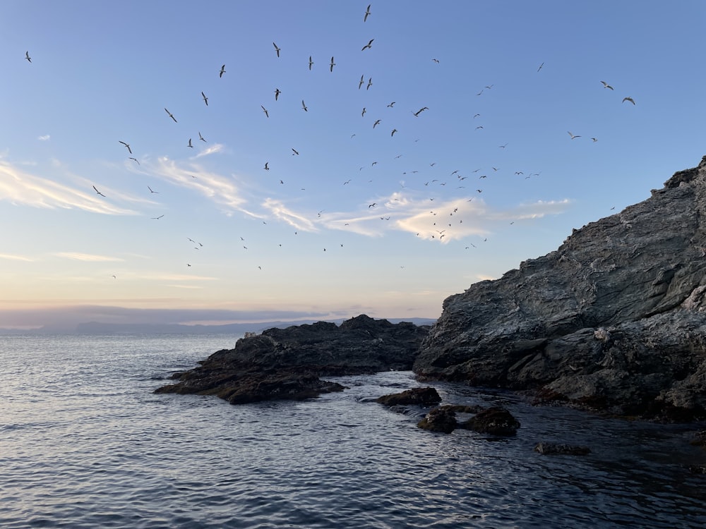 a flock of birds flying over a body of water