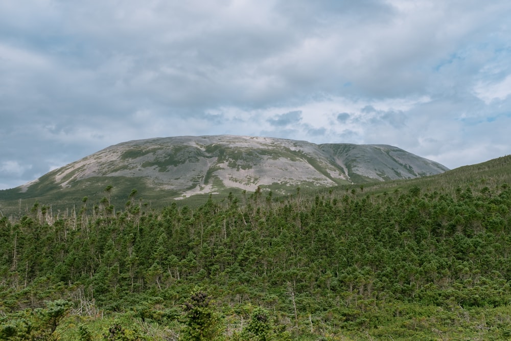 Una montagna coperta di alberi sotto un cielo nuvoloso