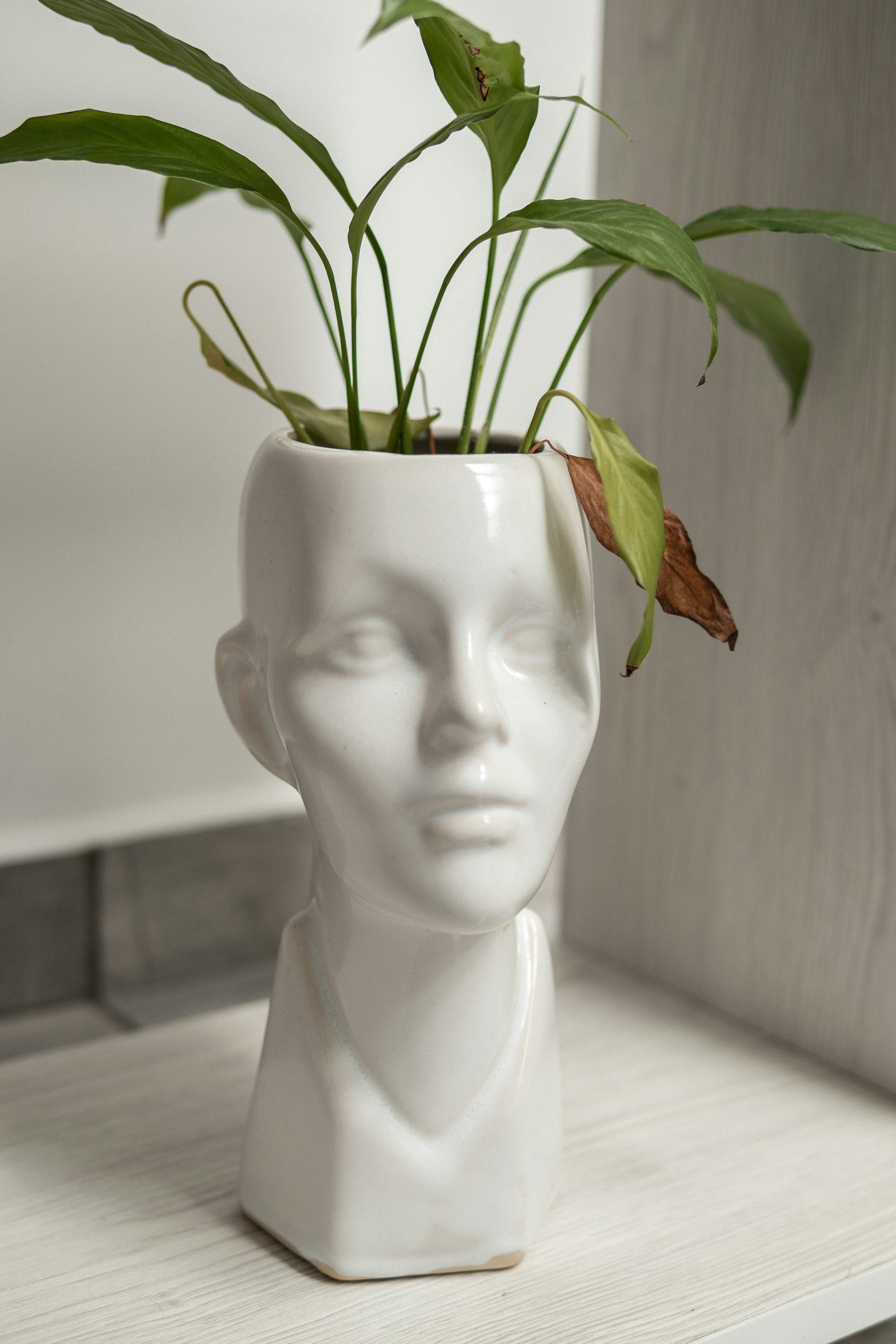 Photo by alex_quezada