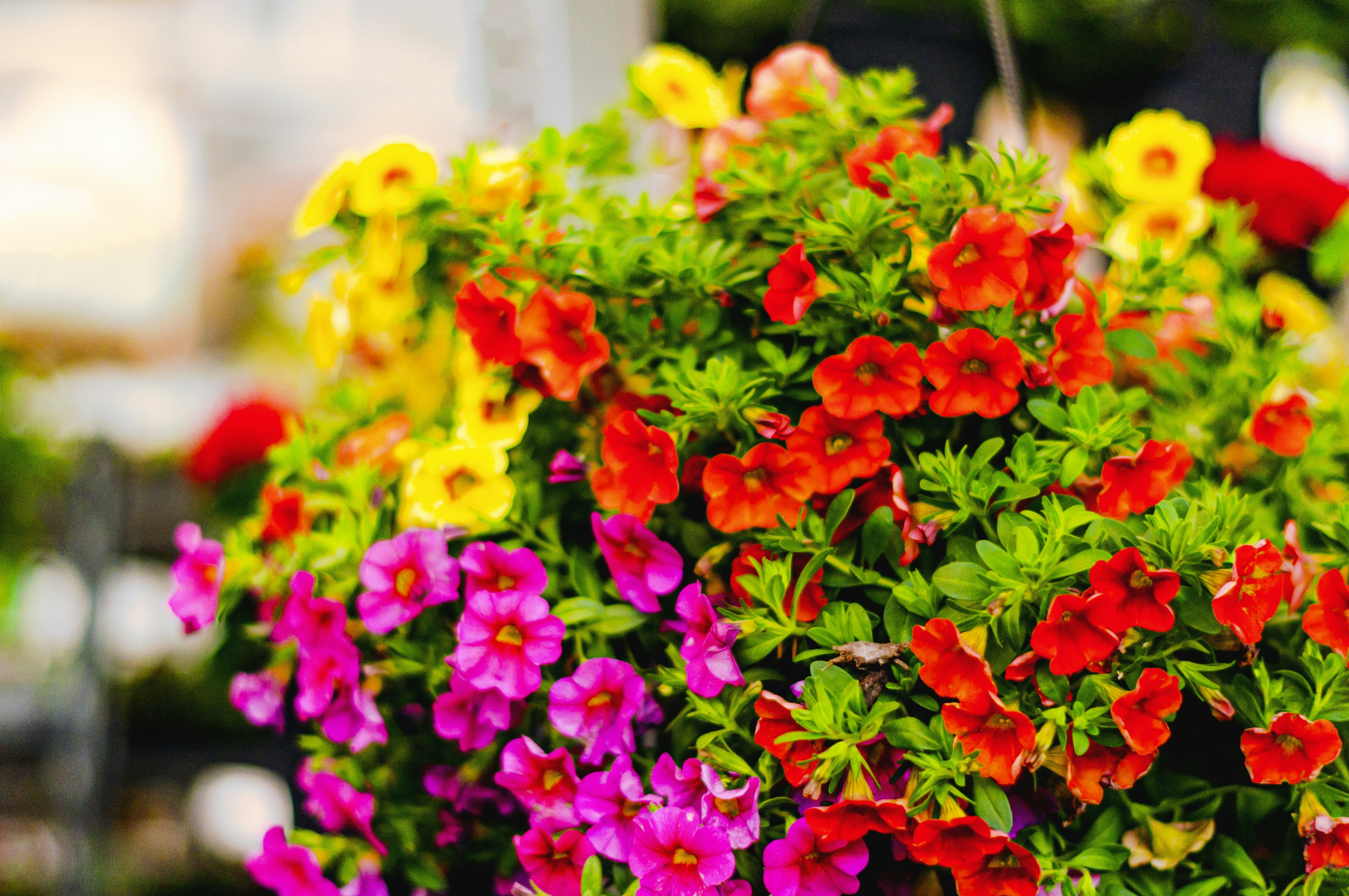 Photo by jokostudios