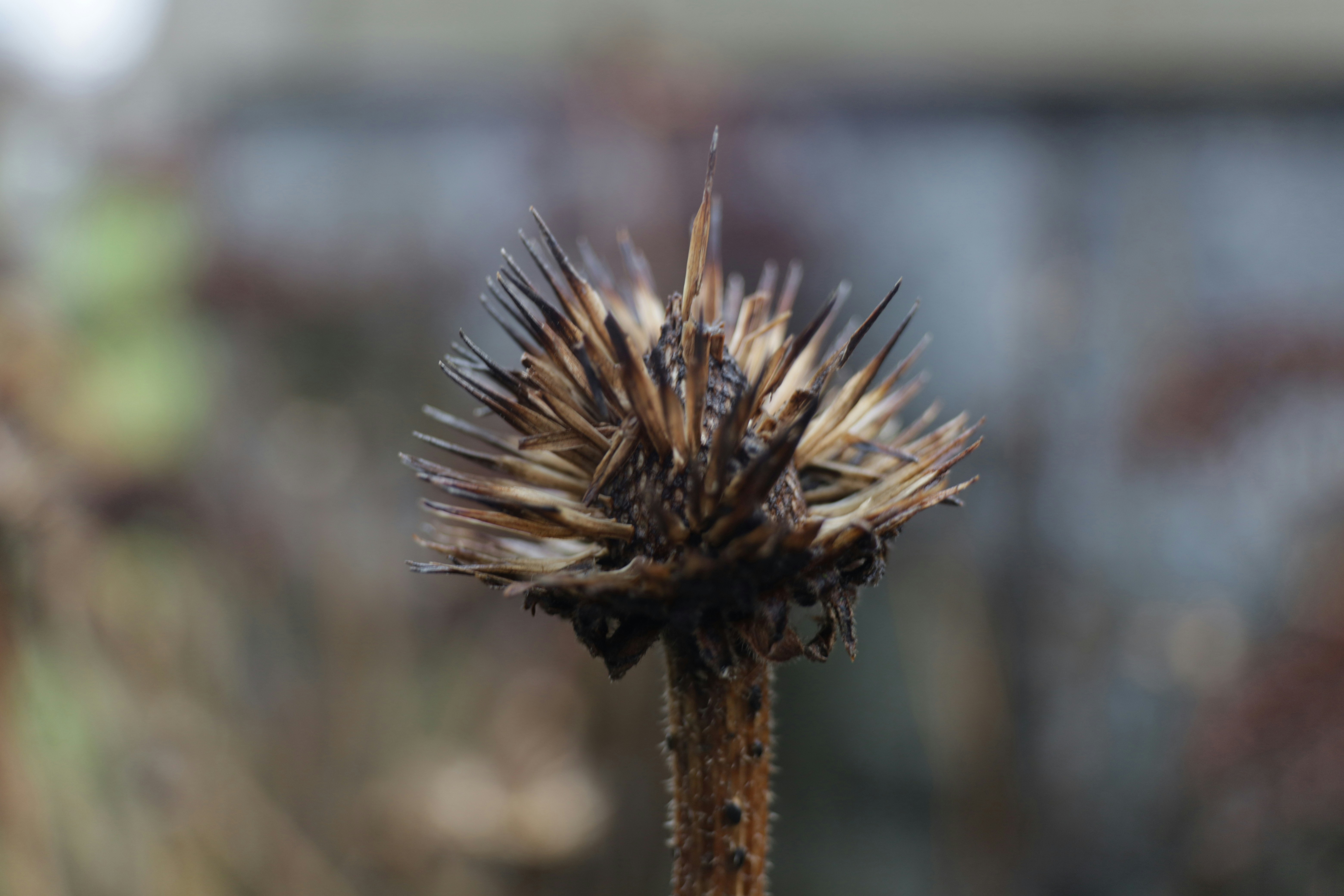 Photo by junior_hector