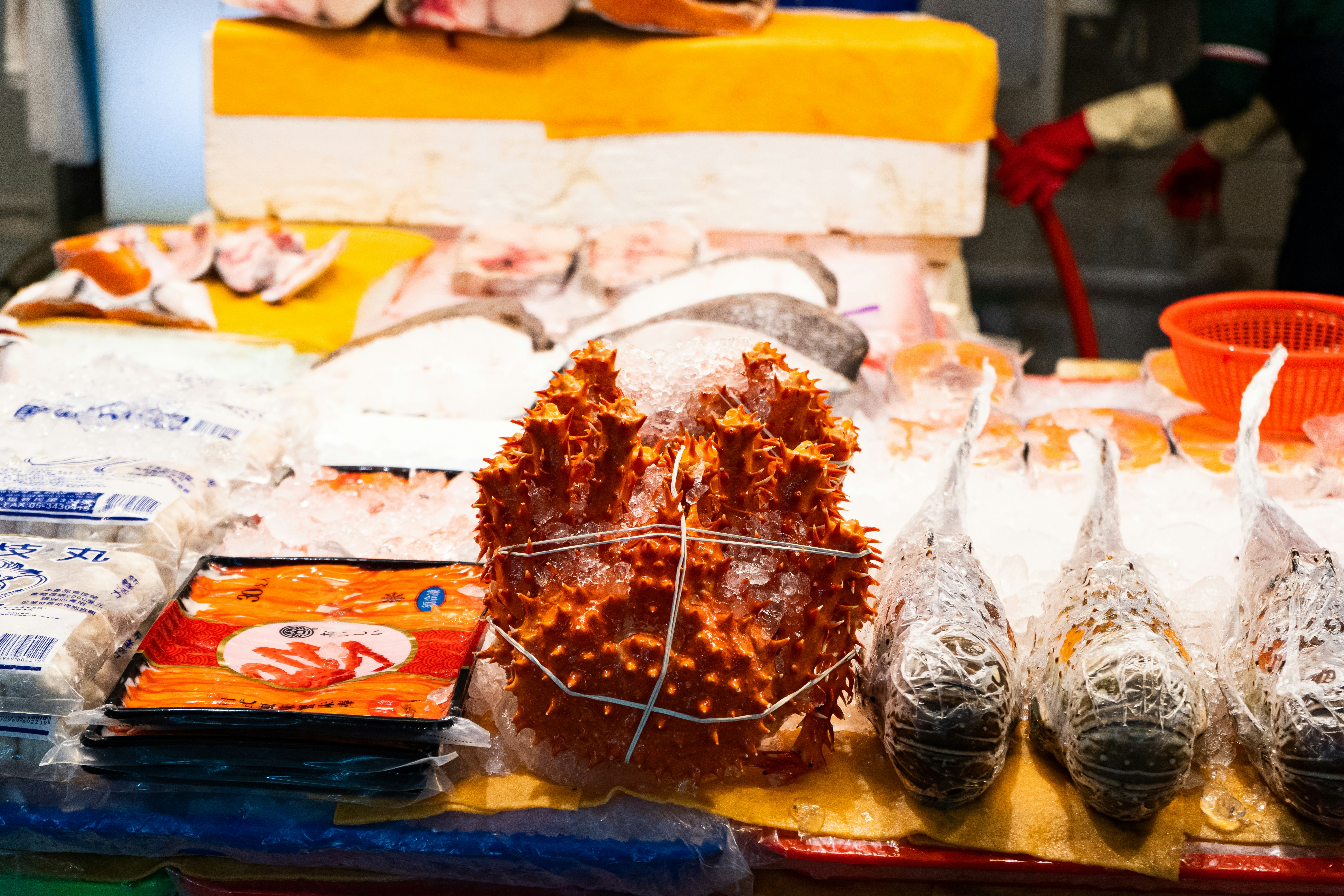 Photo by harrisonchang