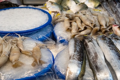 a bunch of fish that are on some ice