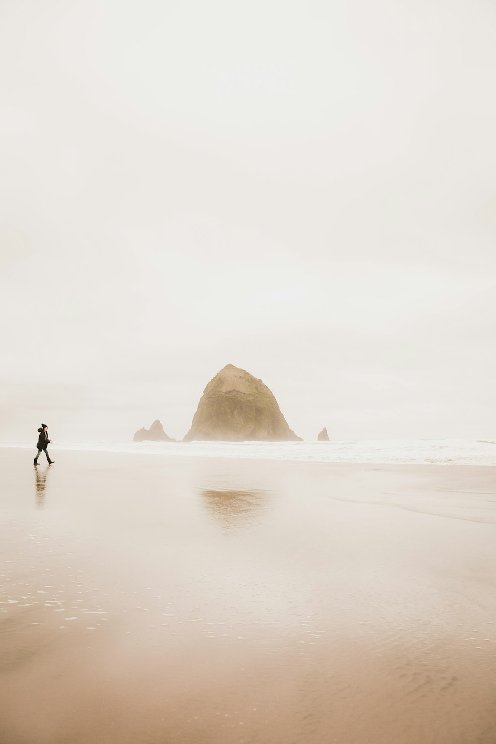 a person riding a horse on a beach