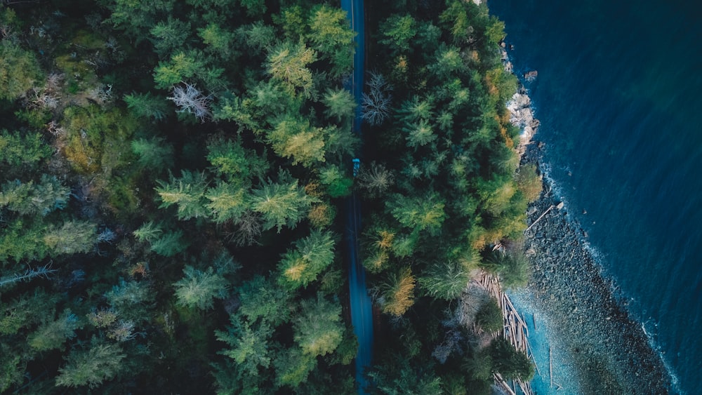 an aerial view of a road running through a forest