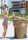 A woman wearing a striped swimsuit and heart-shaped sunglasses is standing on a sandy beach. She is holding the lid of a large brown trash bin, positioned next to a beach access sign. In the background, there are palm trees and two buildings, one of which is orange with white railings.