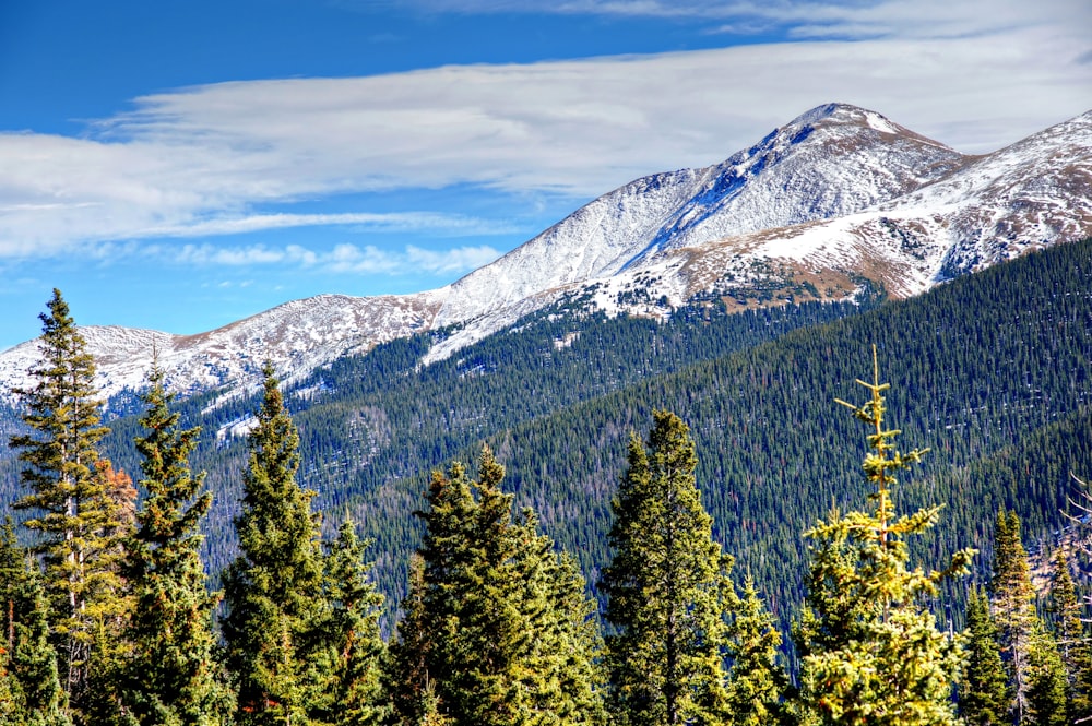 a view of a mountain range with trees in the foreground