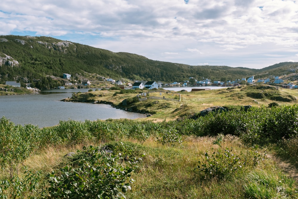 a small lake surrounded by a lush green hillside