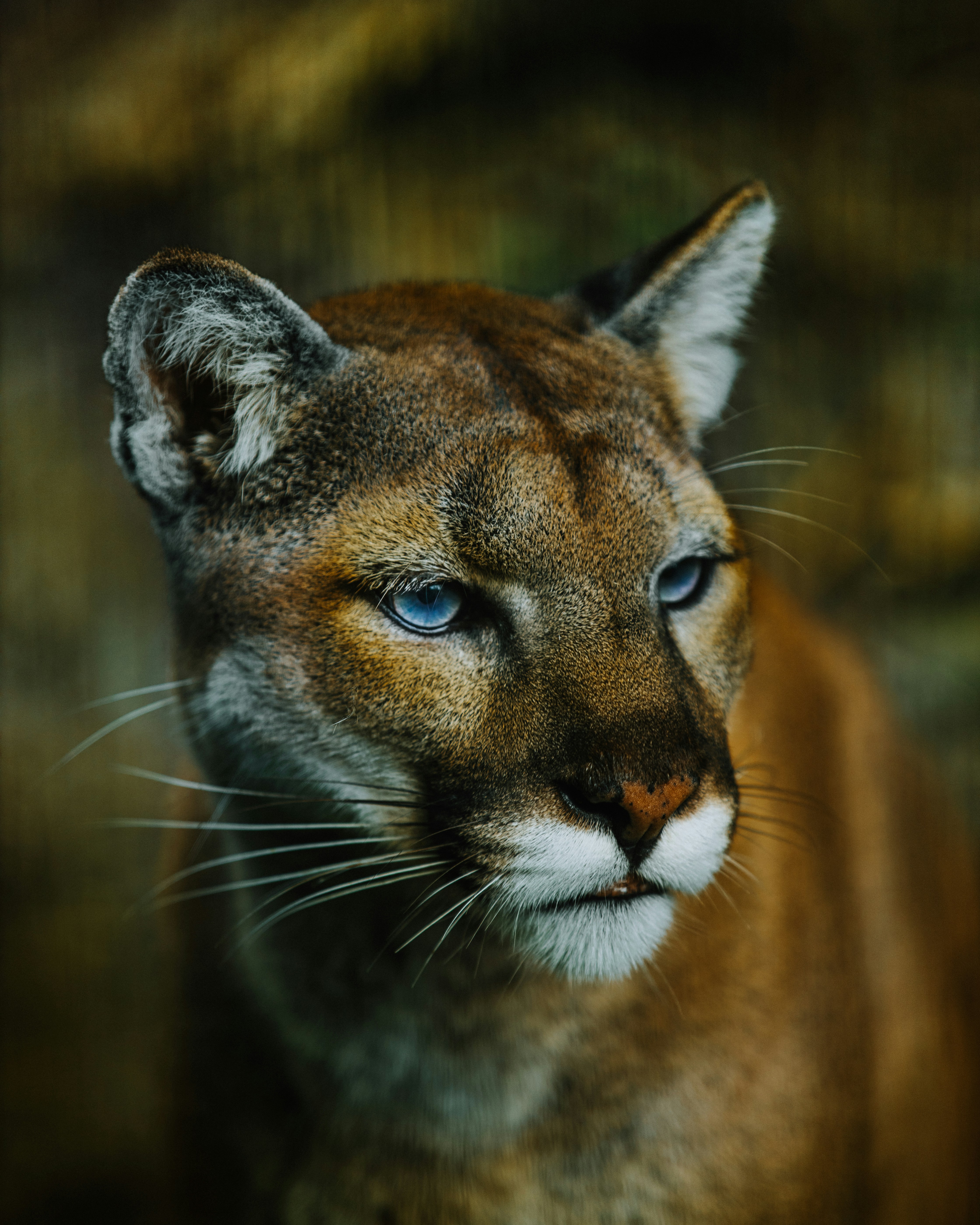 The Implications Of The Crippling Loss Of Aleksander Barkov For The Florida Panthers And Other Injury News From NHL Training Camps.