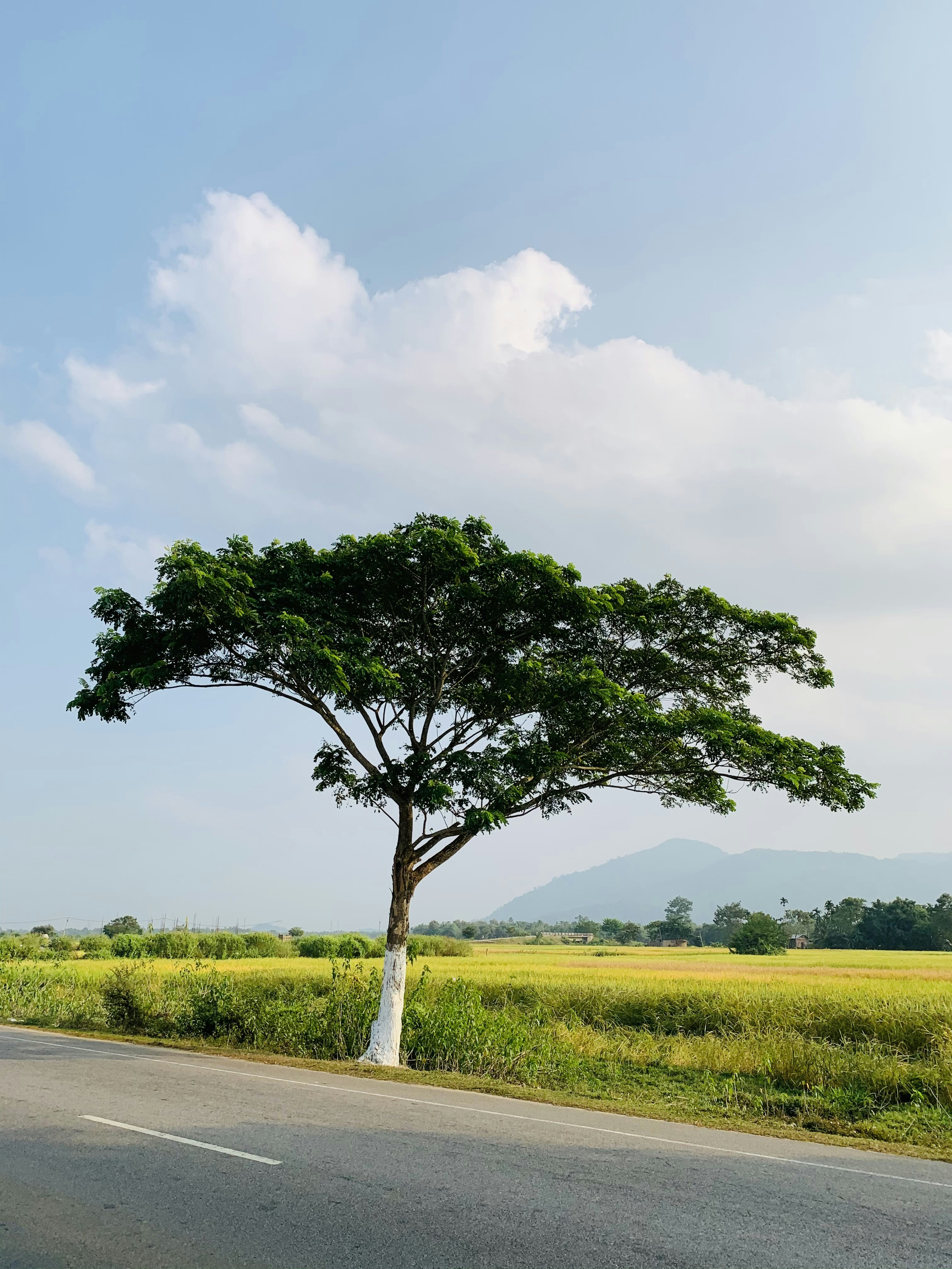 Photo by myphotoblog