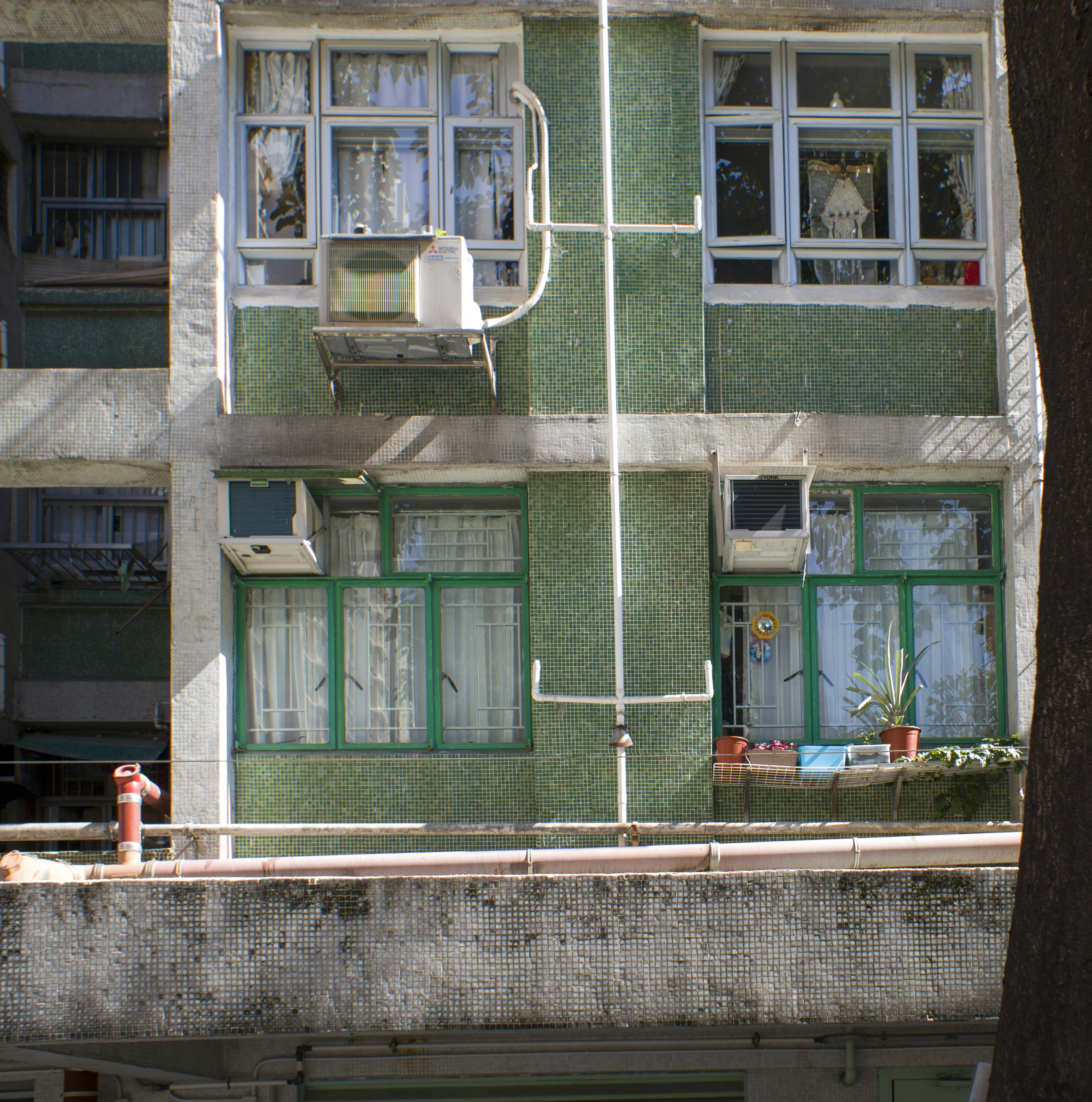 Inspired by 1 Corinthians 15:21-22