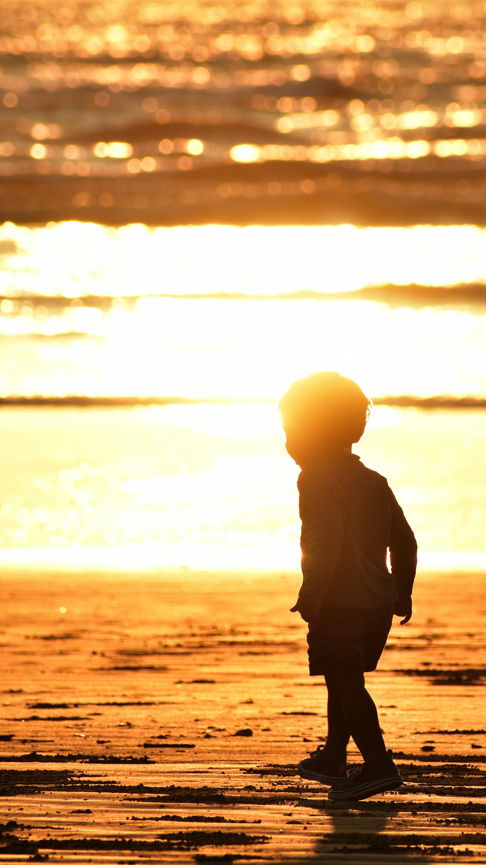 a little boy standing on top of a beach next to the ocean