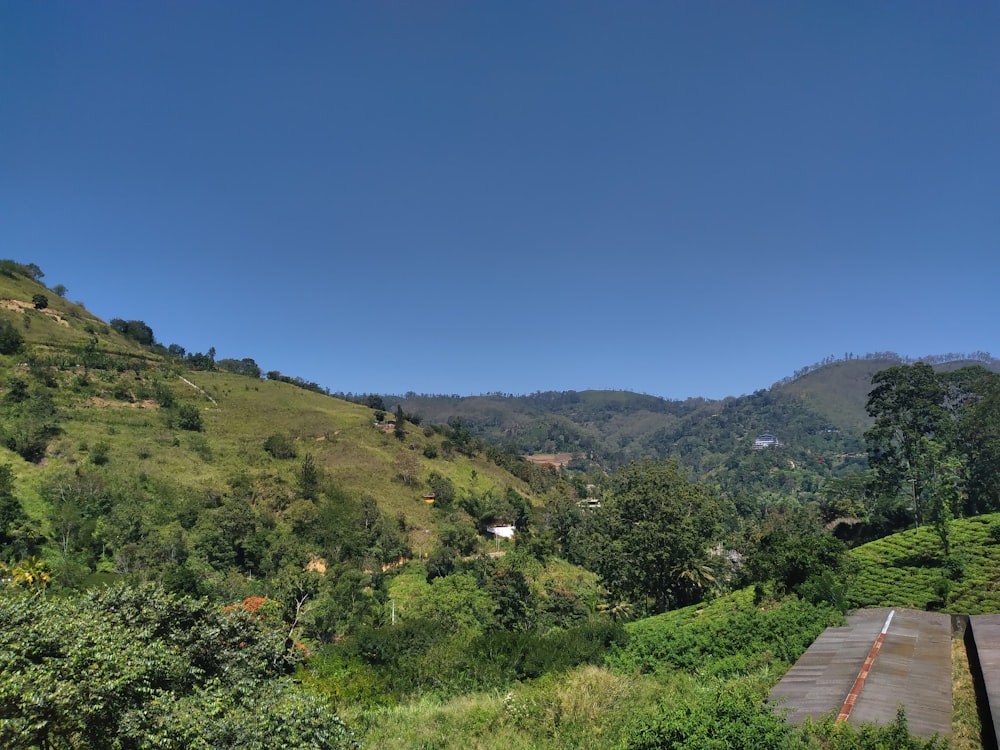 a scenic view of a lush green hillside