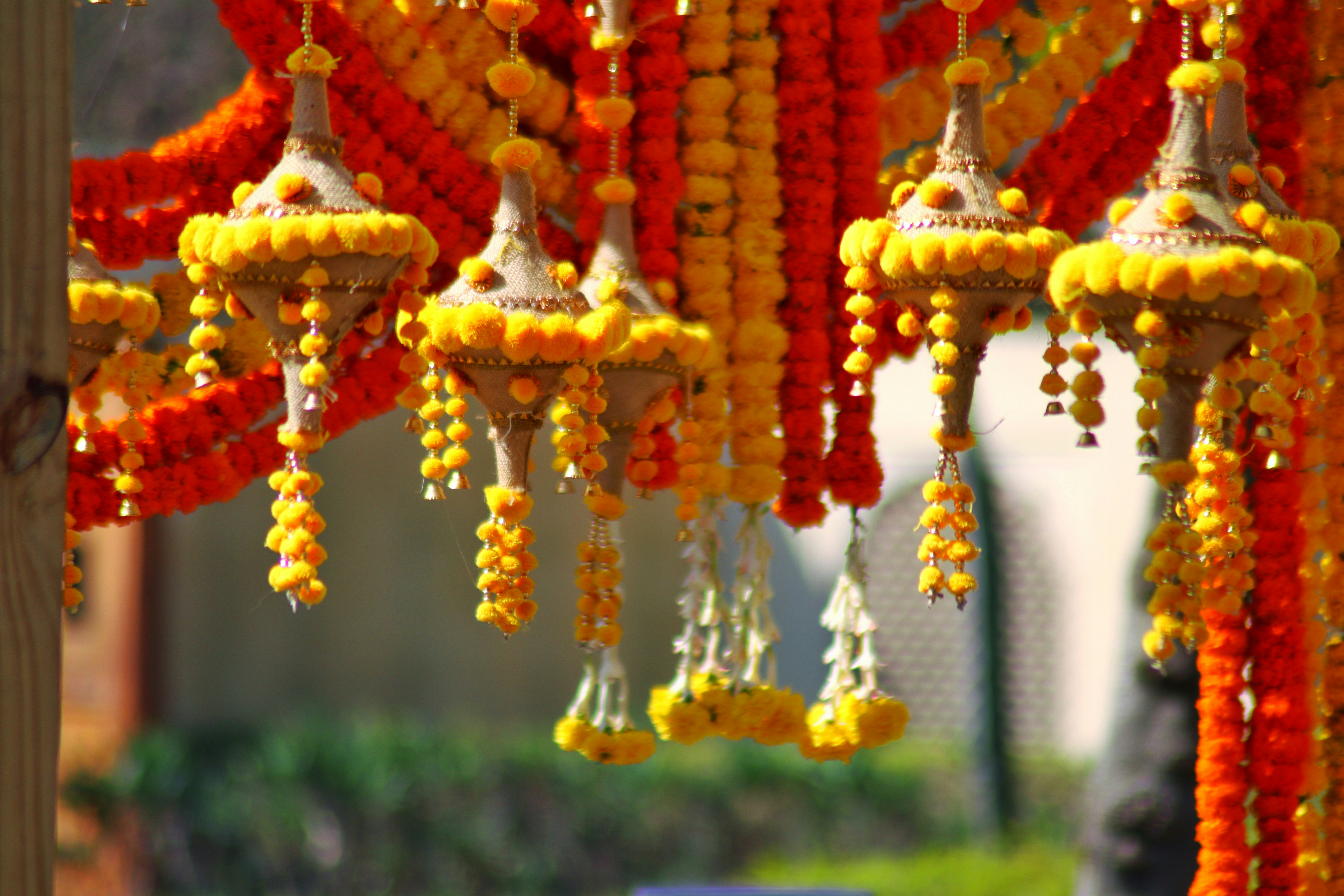 Photo by saubhagya2304